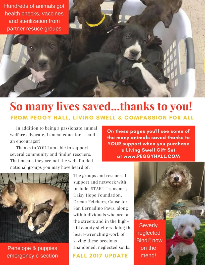 So many lives saved...thanks to you! (1).jpg