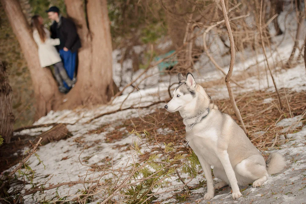 tara-rayan-(5).jpg