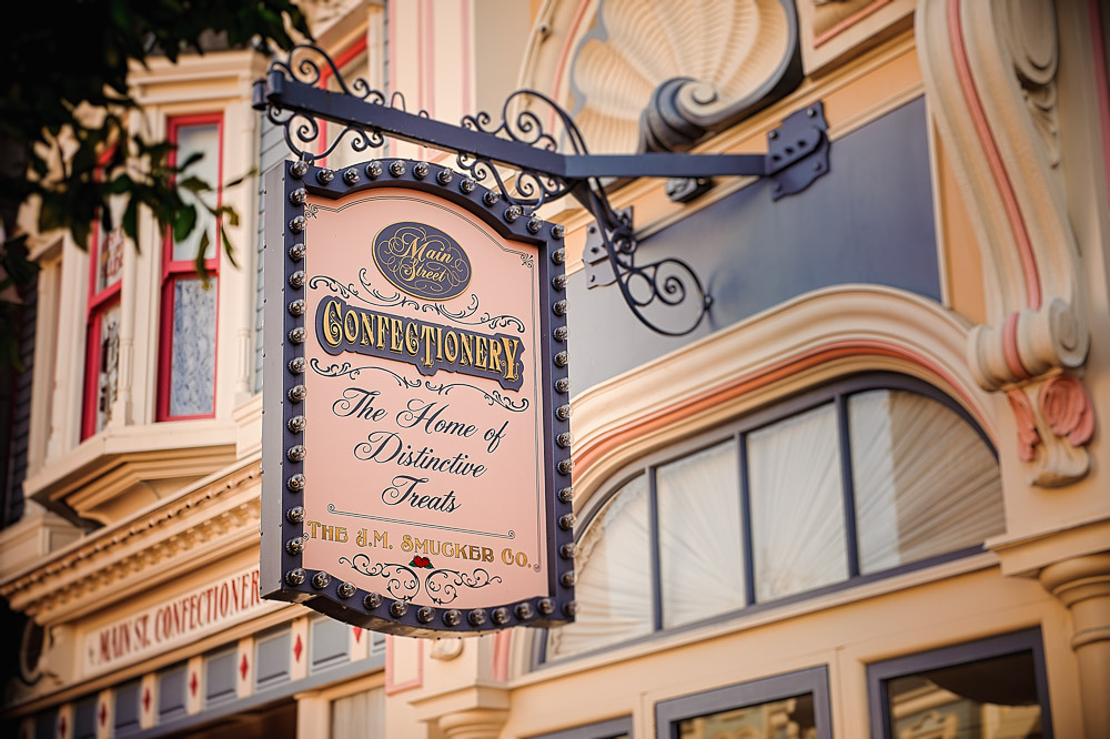 Disney 2015-1000.jpg