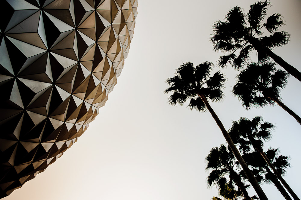 Disney 2015-1003.jpg