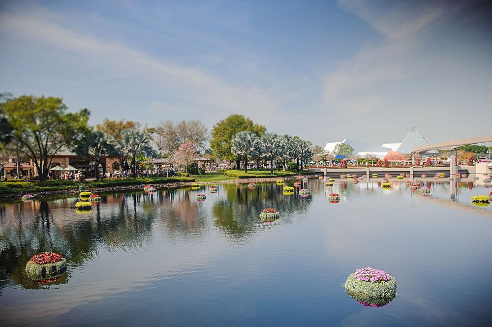 Disney 2015-1009.jpg