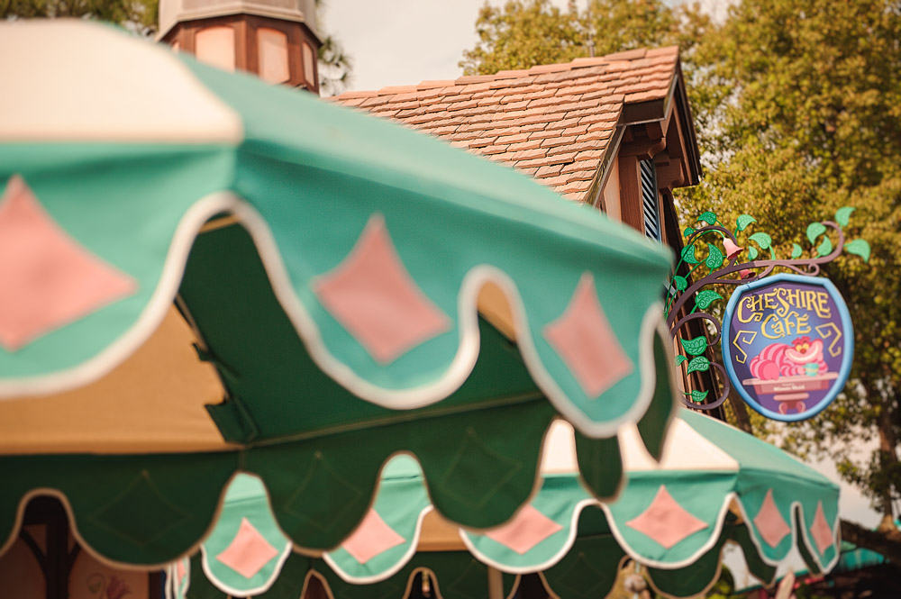 Disney 2015-1027.jpg