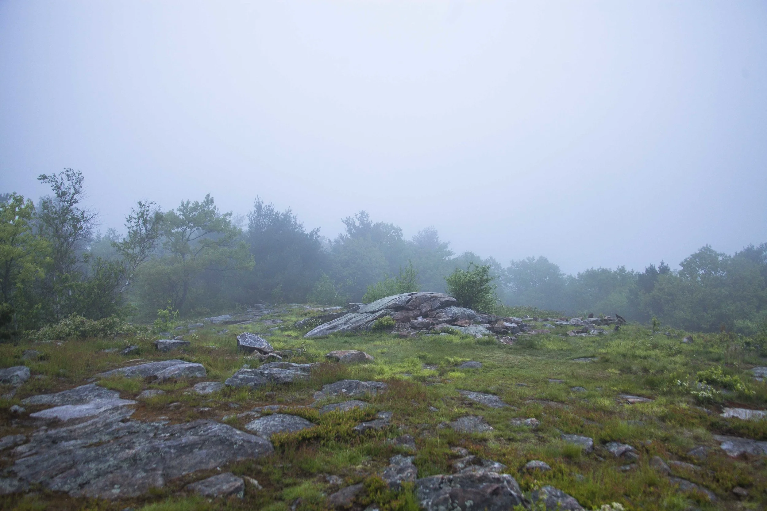 _MG_4758.jpg