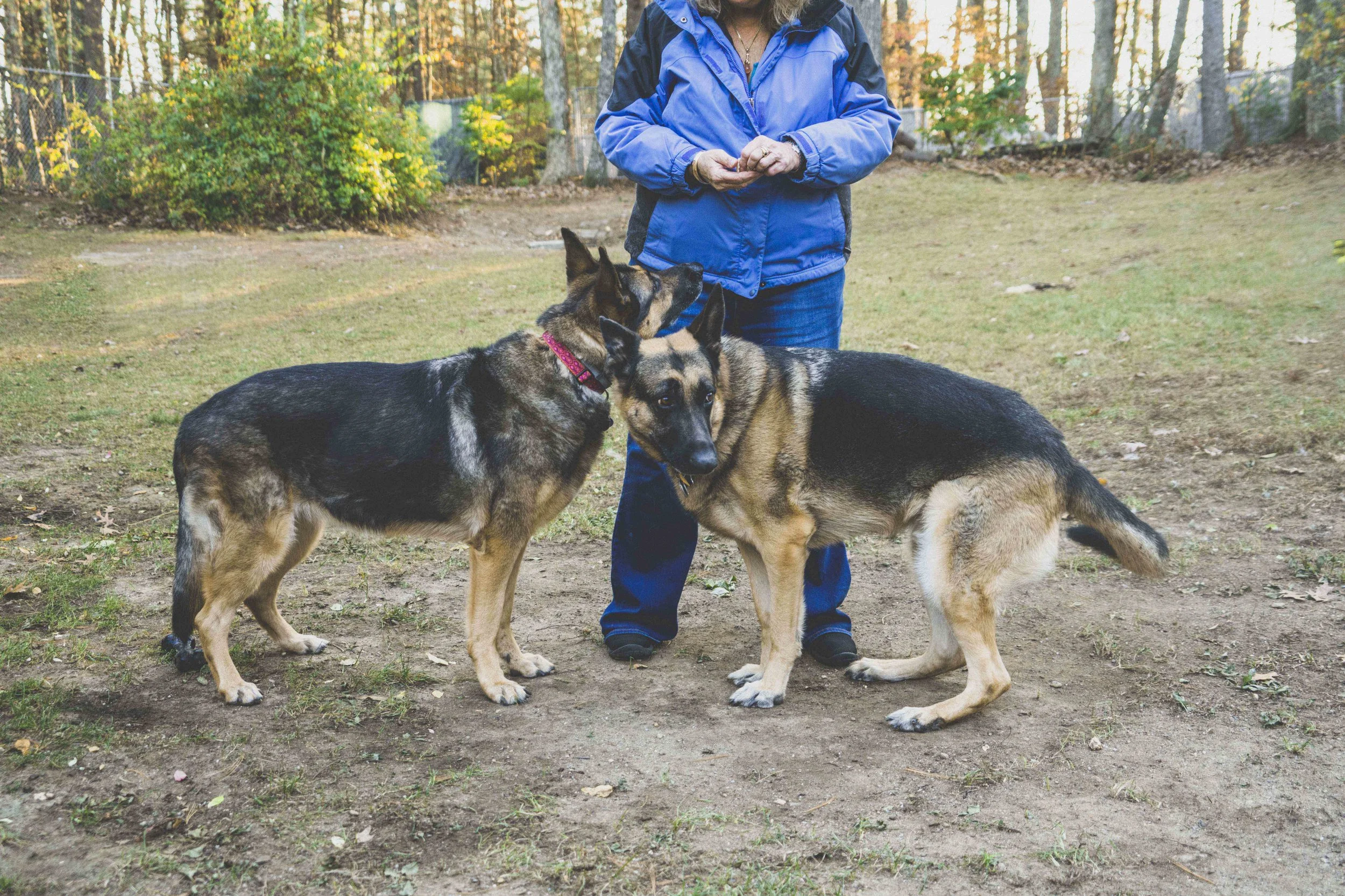 Nadia & Zorah & Harley Low Resolution-59.jpg