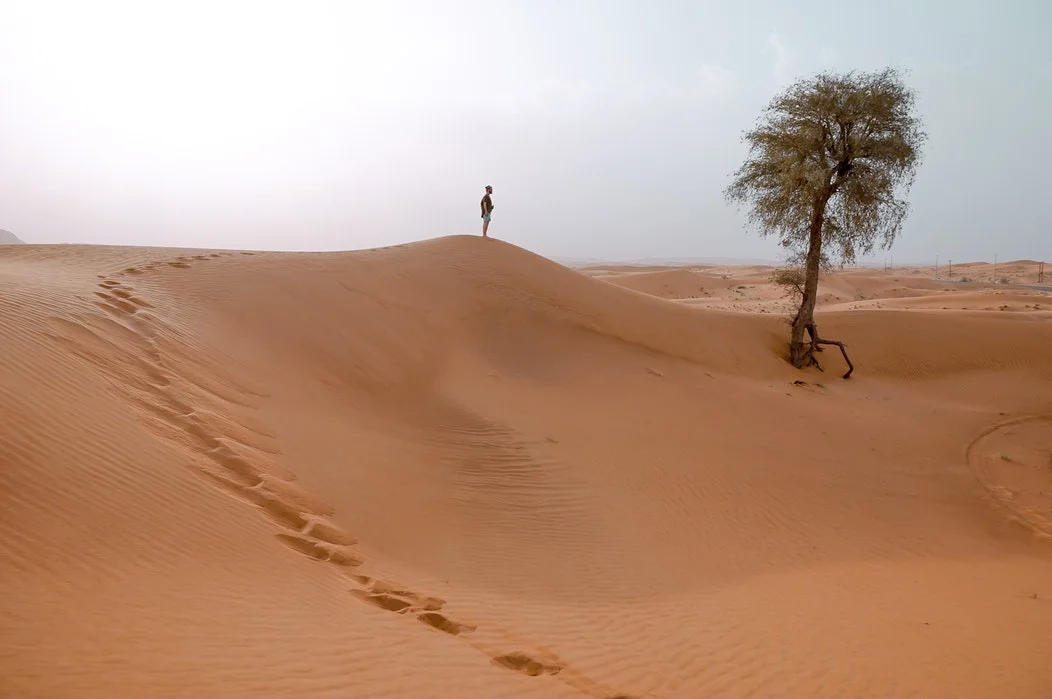 Desert Calling