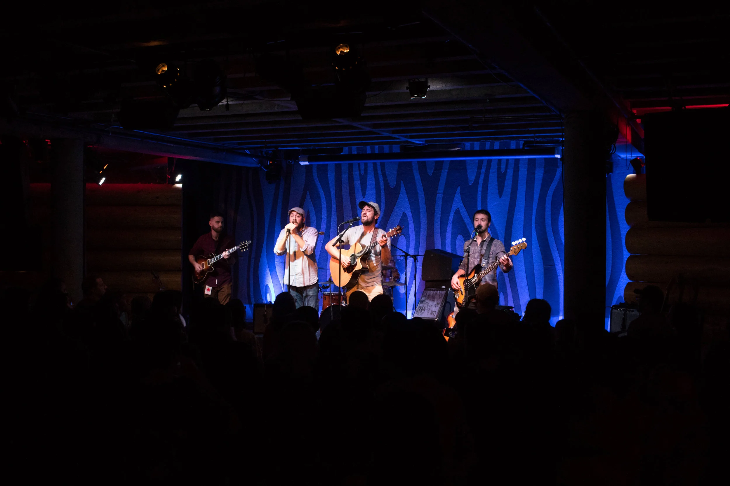 TDPhoto_Dougfir-9.jpg