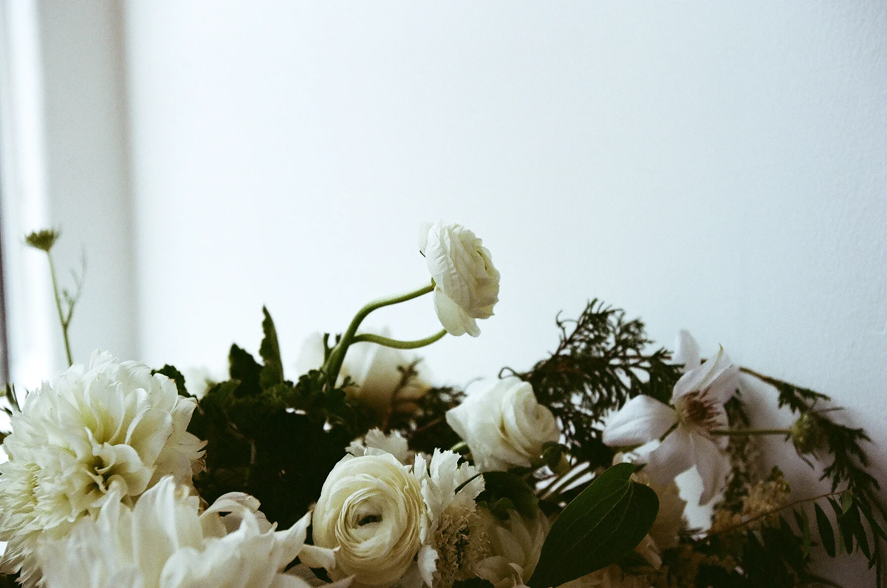 63490011_v1.jpg