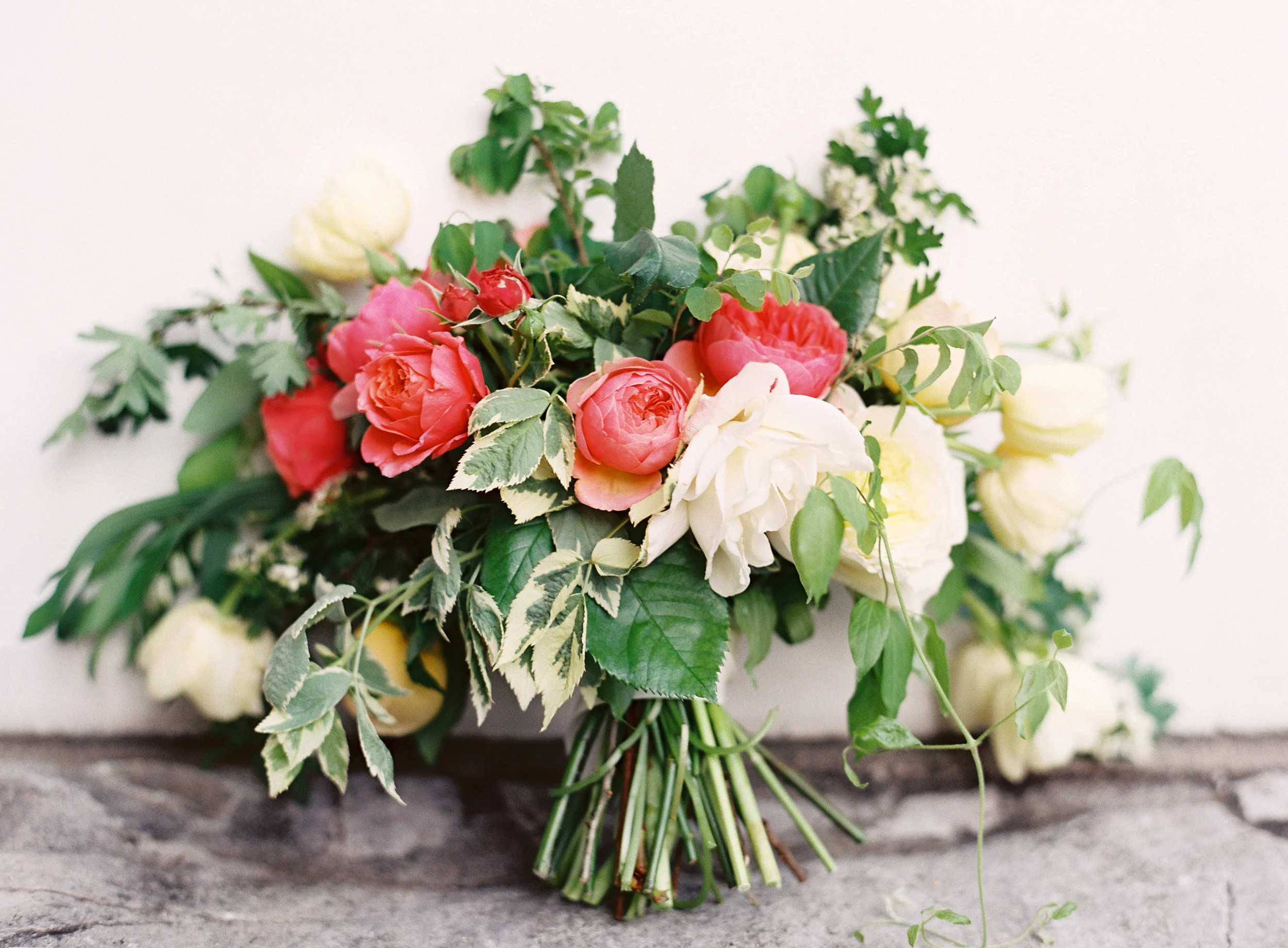 1. use as landing photo.JPG