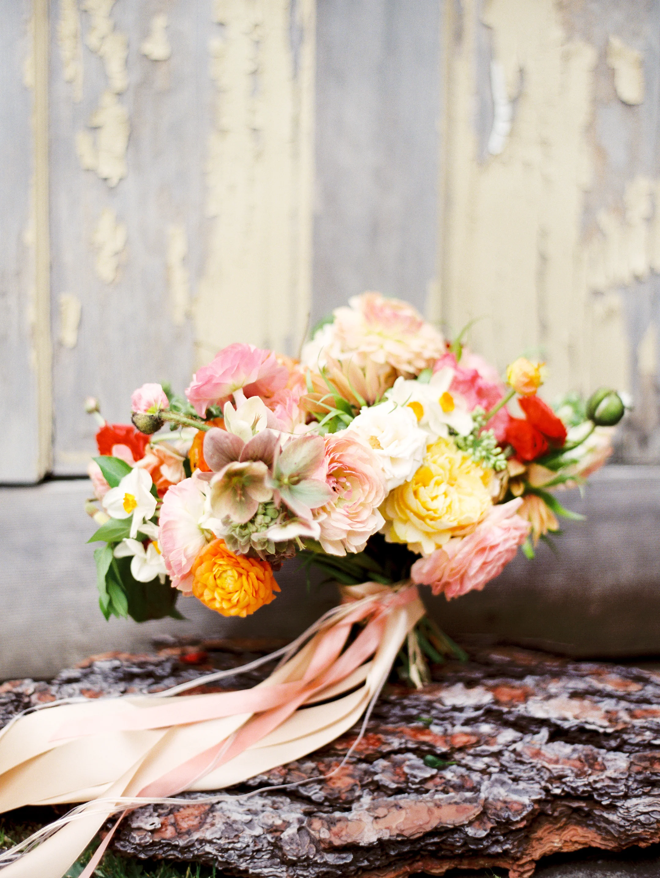 CorinneKrogh_MarchFlorals_Selva_1008.JPG
