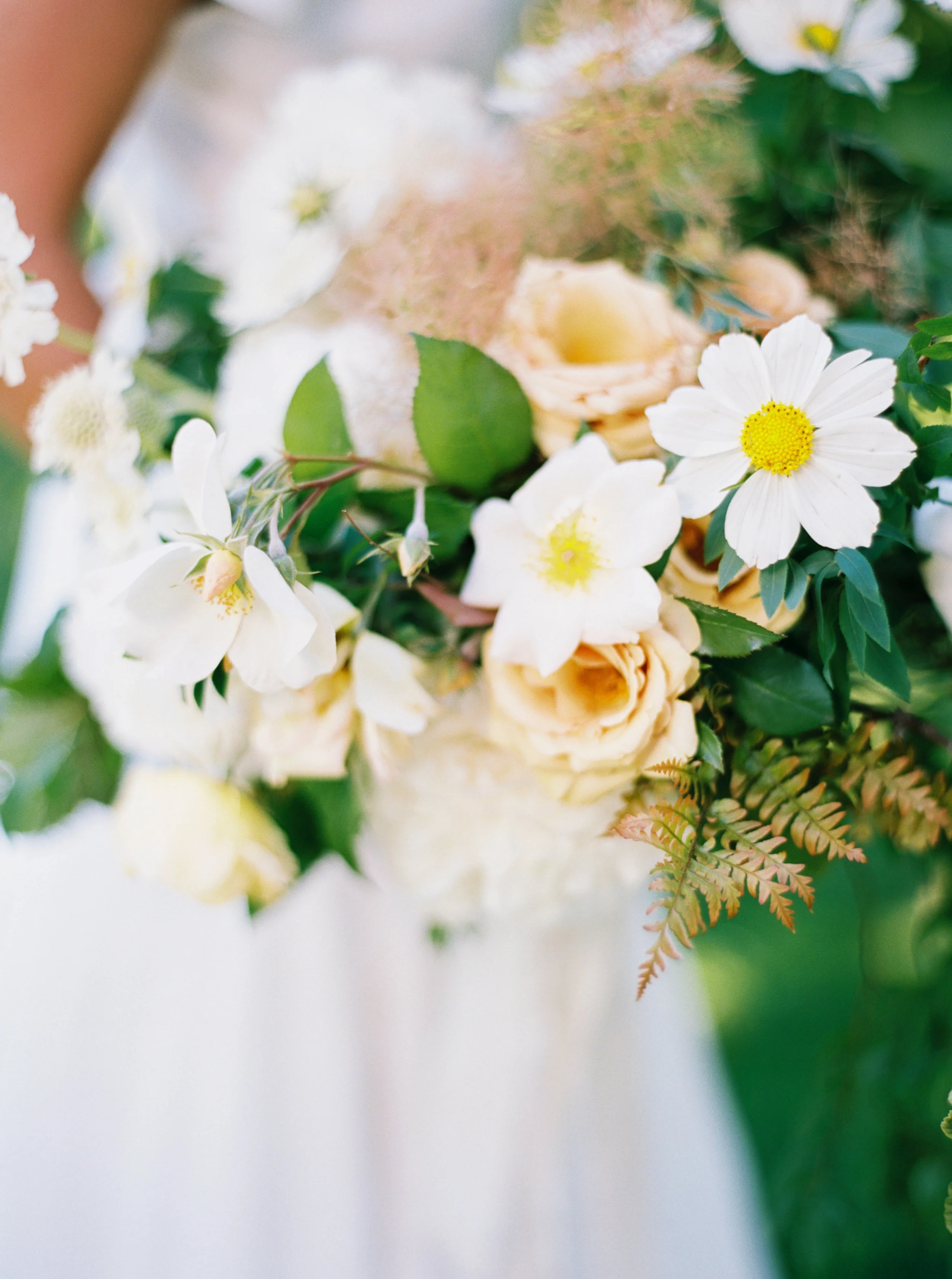 Belle_Lumiere_Portland_040.jpg