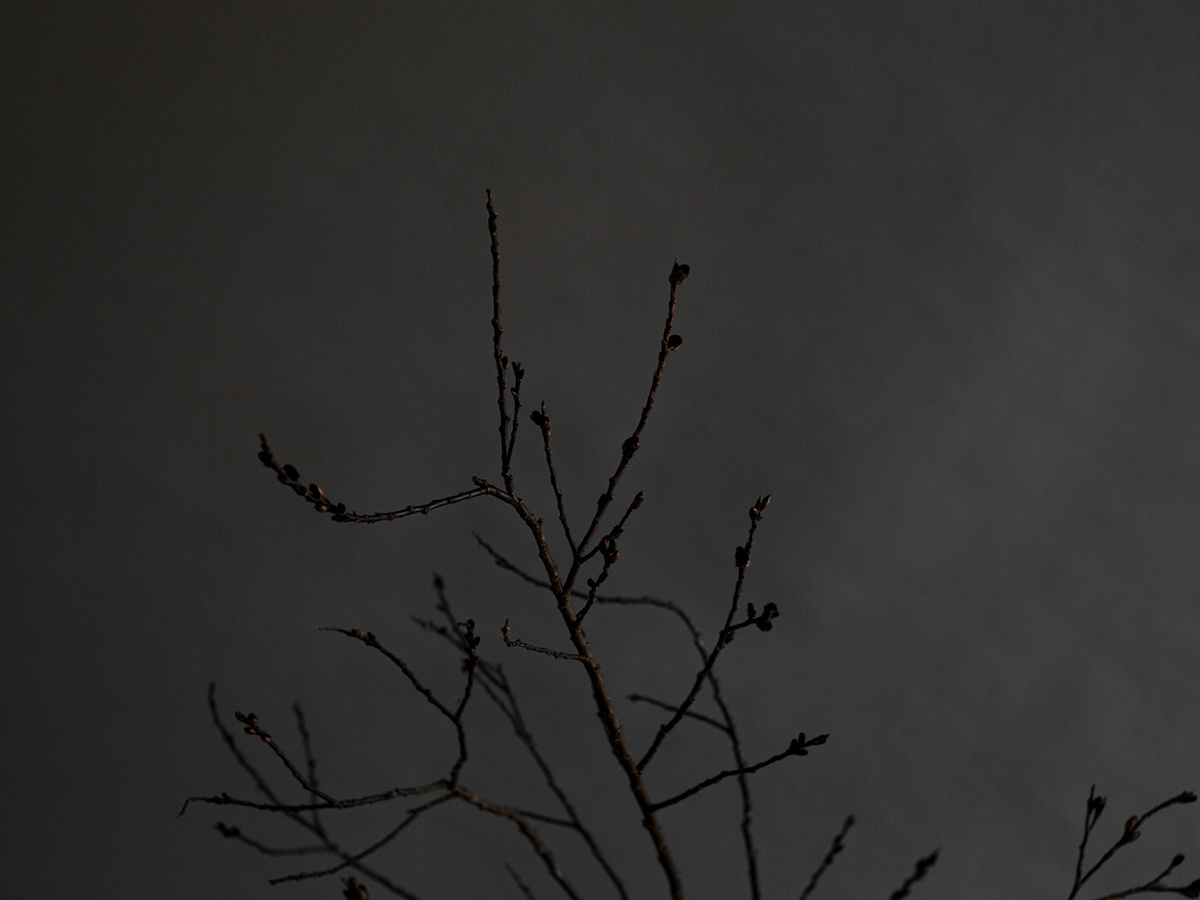 winter floral design selva ben holtrop509.jpg