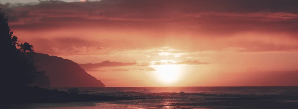Paradise.jpg