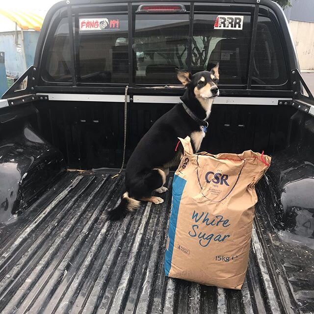 Sadly Gypsy has had to cut back on hot cross bun production this year but she will save you one @chepstowevineyard #V2020