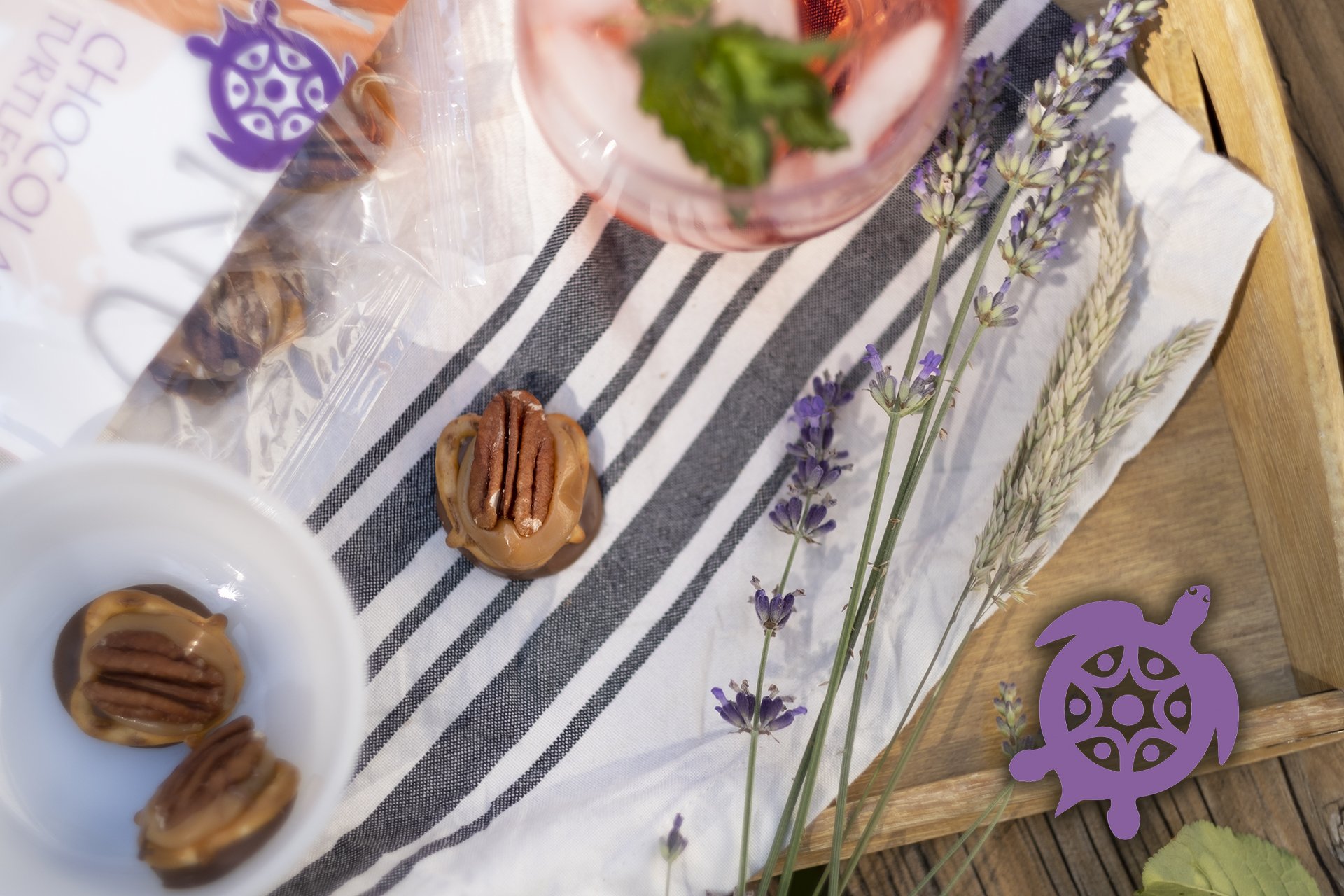 Honu Turtles Feature.jpg