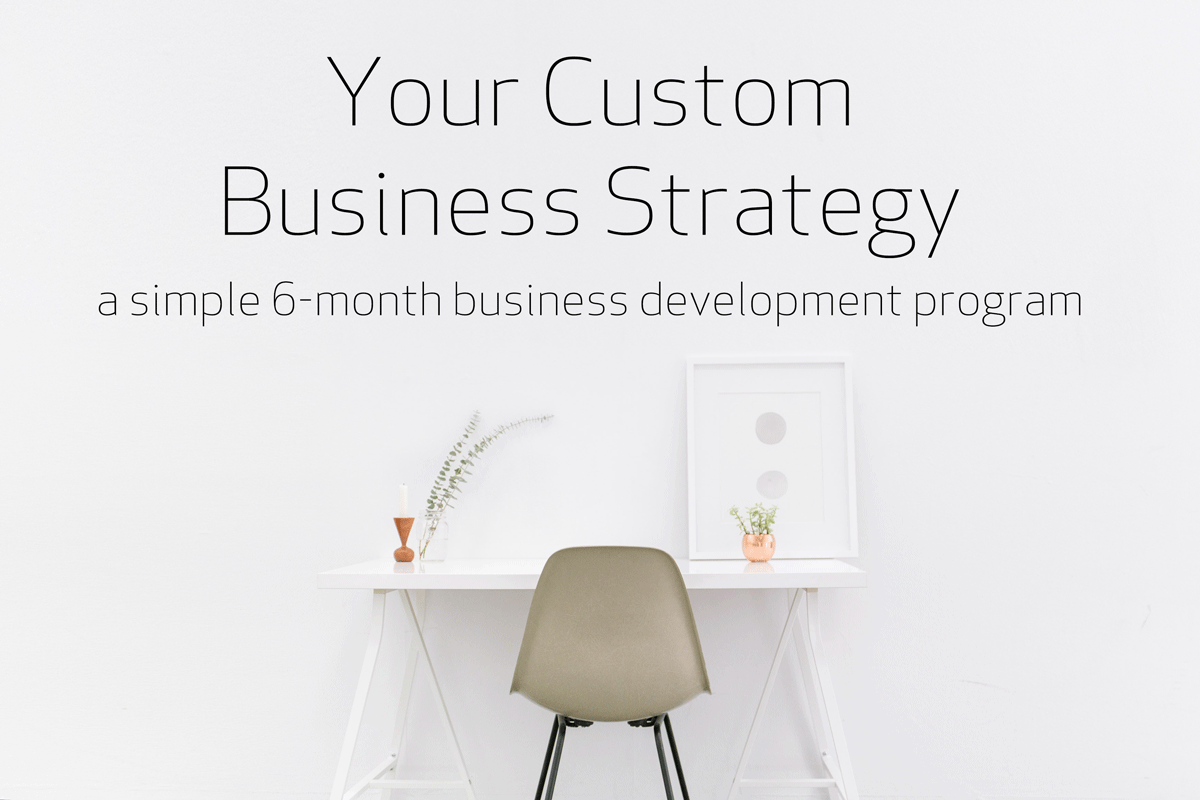 Your-Custom-Business-Strategy.png