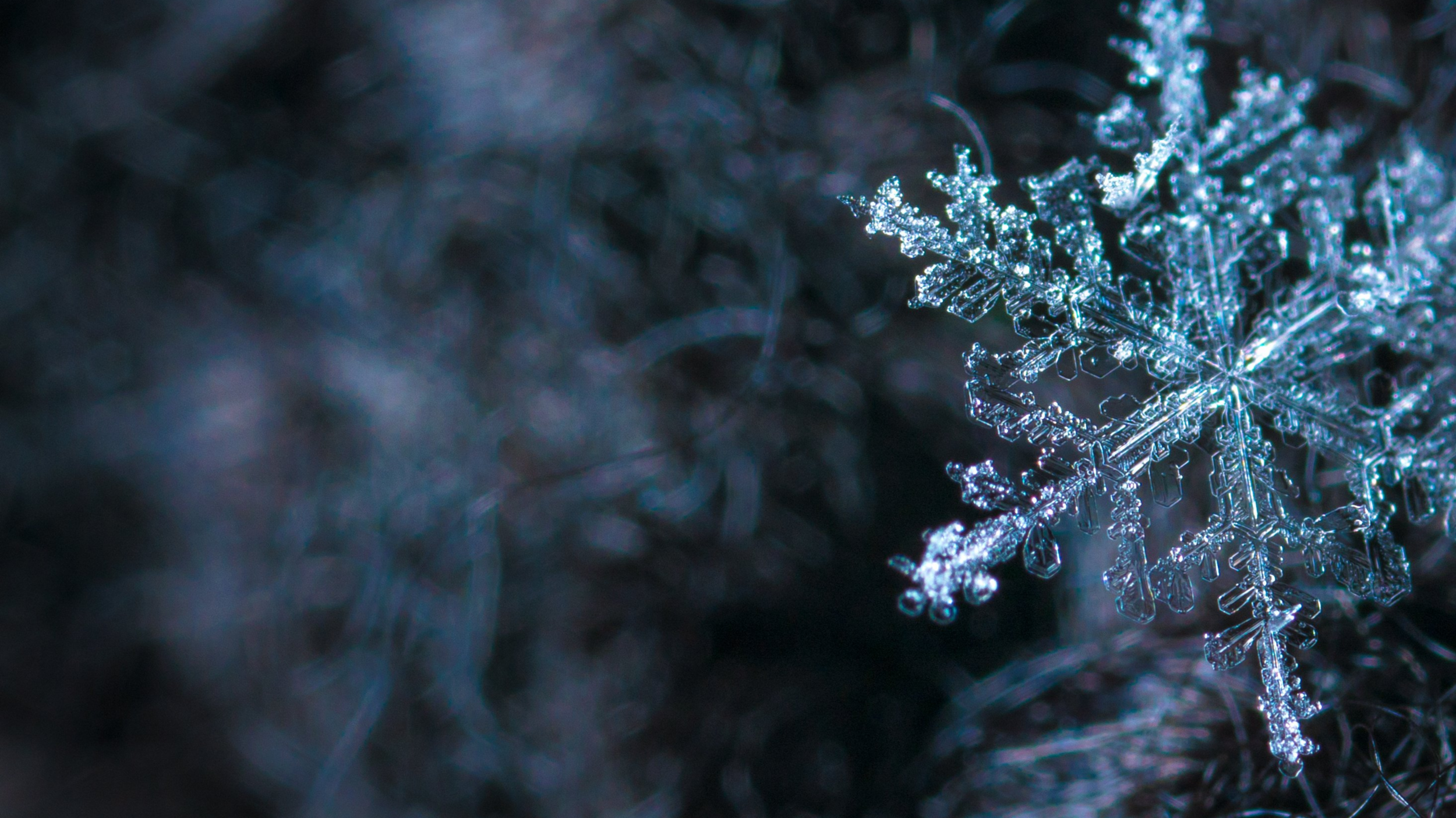 In the Bleak Midwinter: A Service of Grief and Hope
