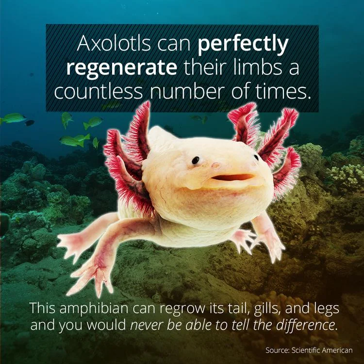 e4e681e2-f45f-4fa0-8b2f-2fd4b0df4fe7.png