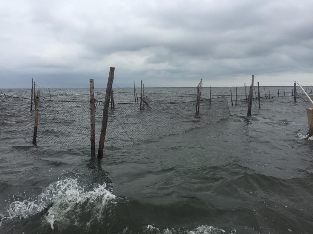 Willis Family Gill Nets in the Atlantic Ocean near the cape lookout national seashore.