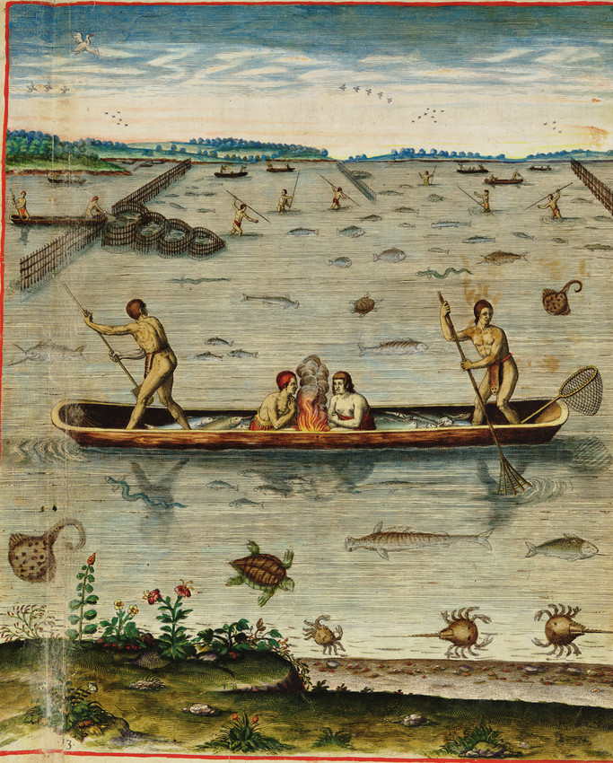 Eastern Virginia and Carolina native Americans fishing practices with Weir and netting