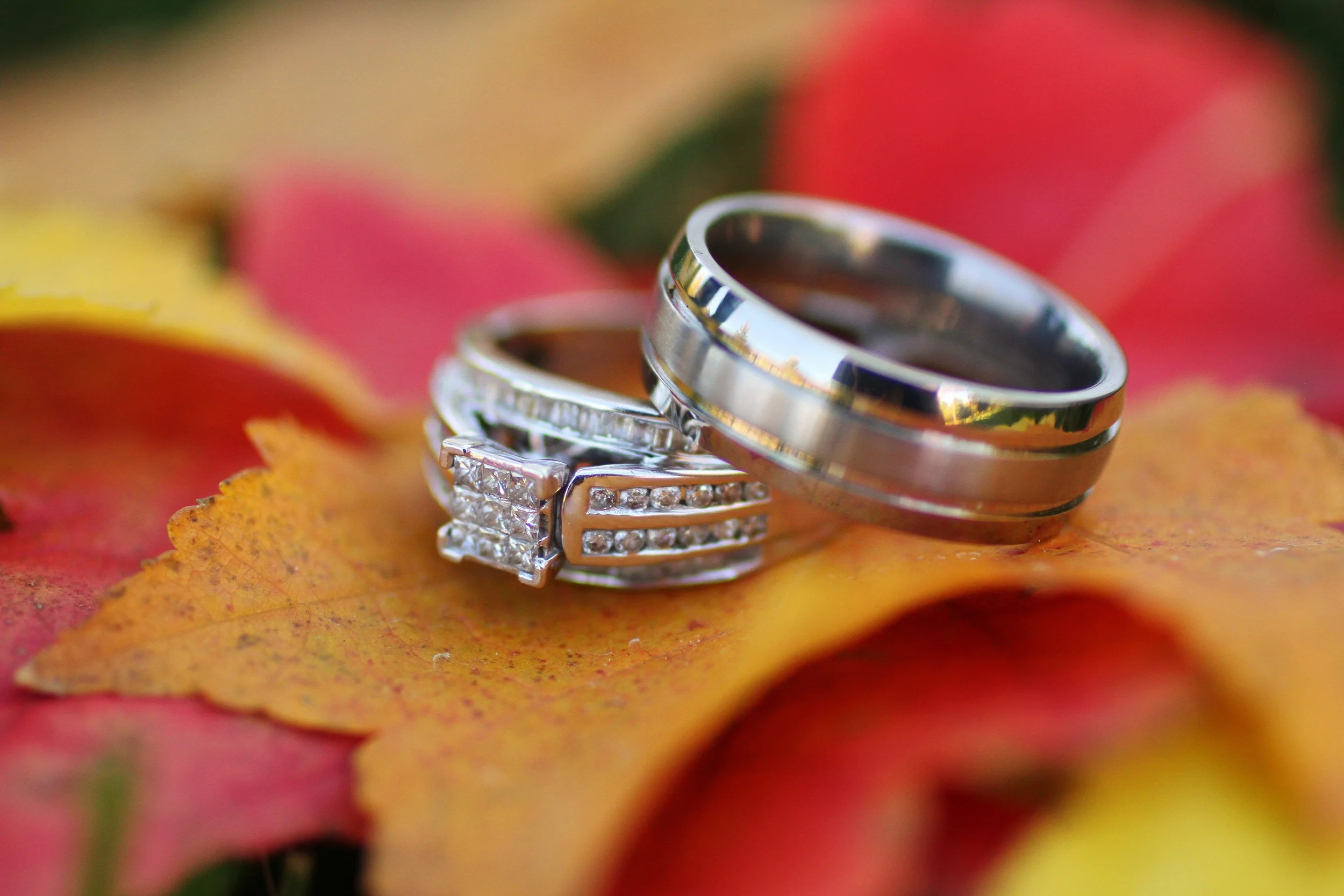 fall, leaves, wedding, rings, diamond, couples, photos, photography, wedding, marriage, i do, bride, groom, image, outdoor, fun, vintage, silver, gold, love
