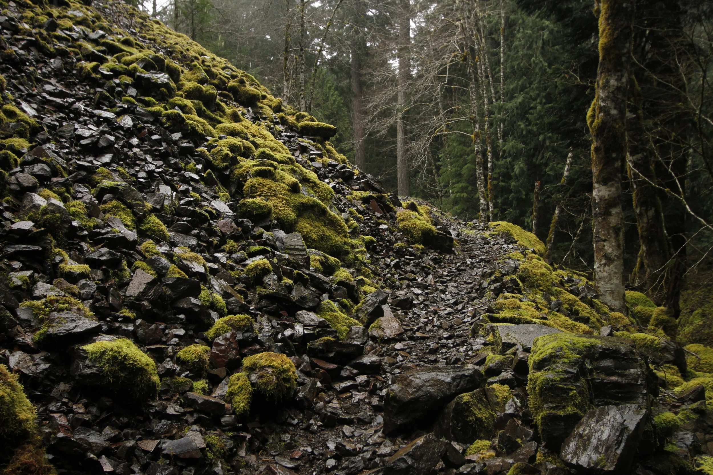 _MG_5523.JPG