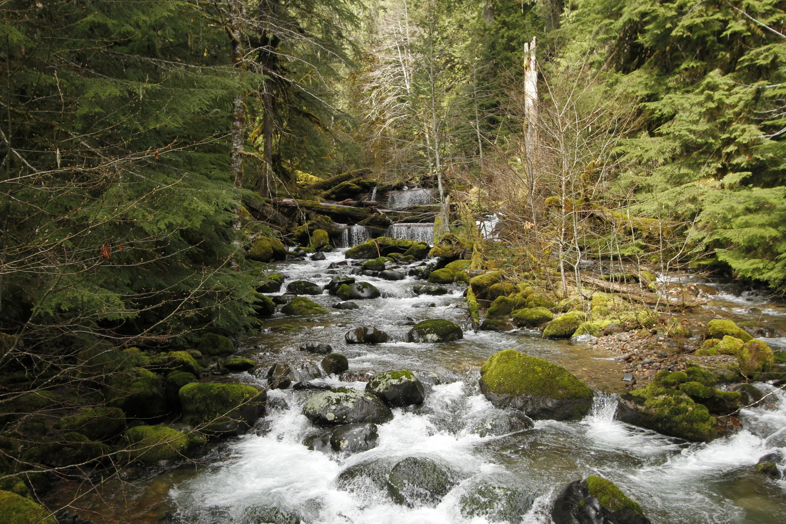 _MG_5675.JPG