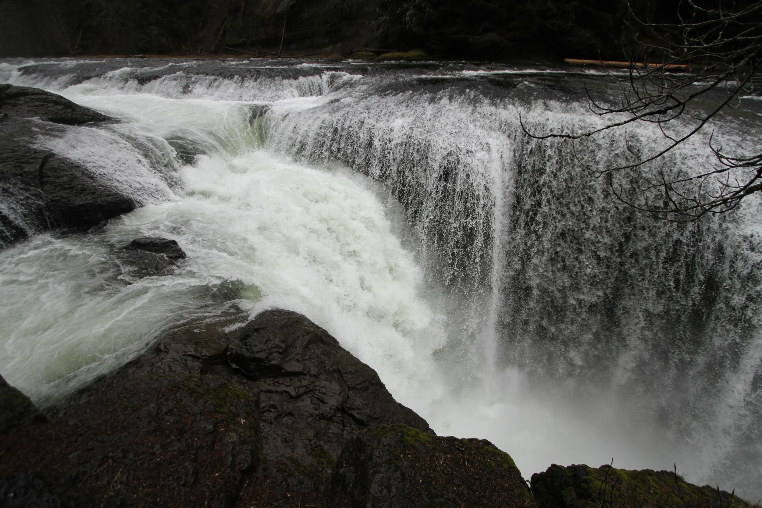 _MG_5439.JPG