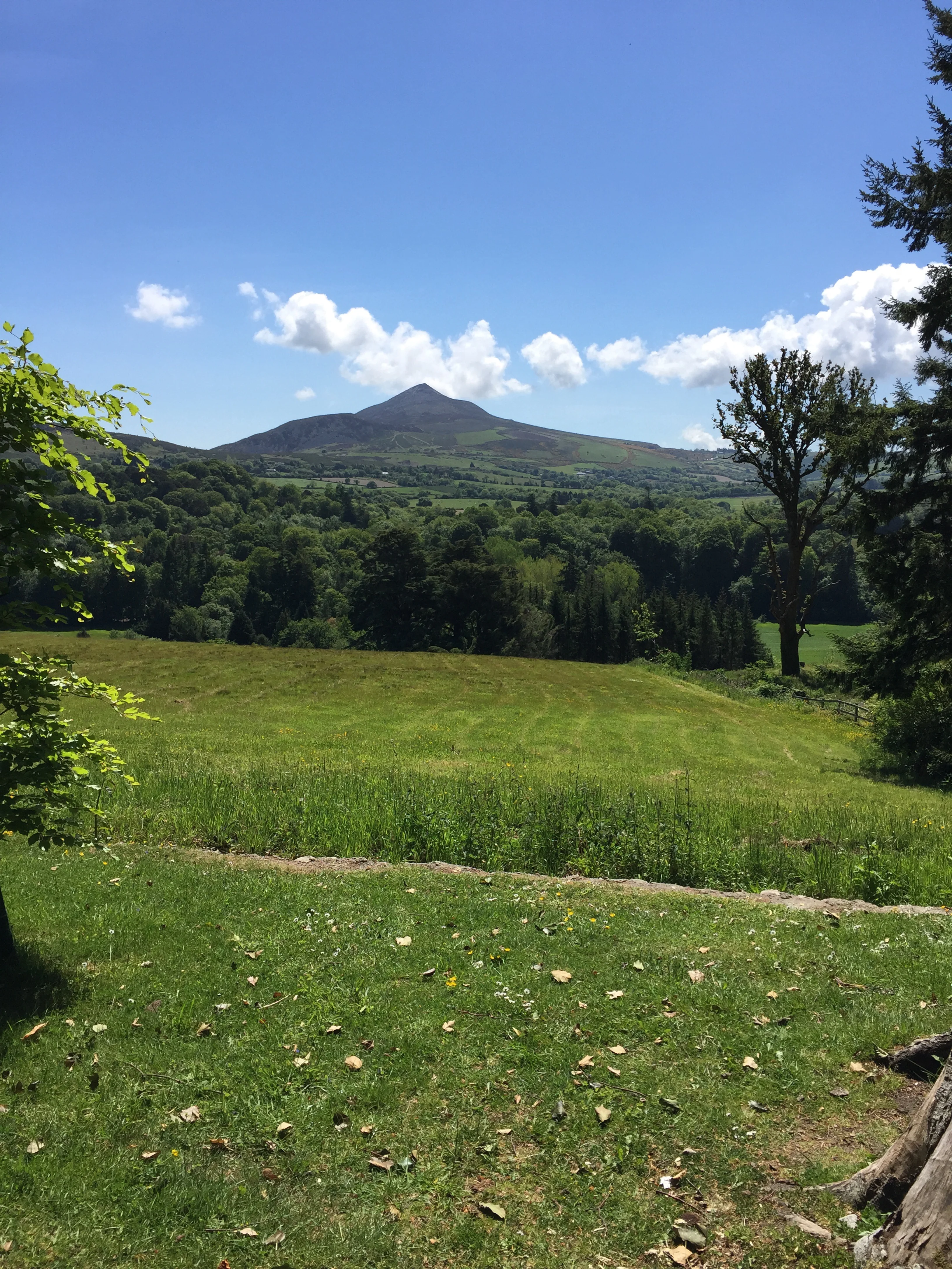 Goodbye Enniskerry!