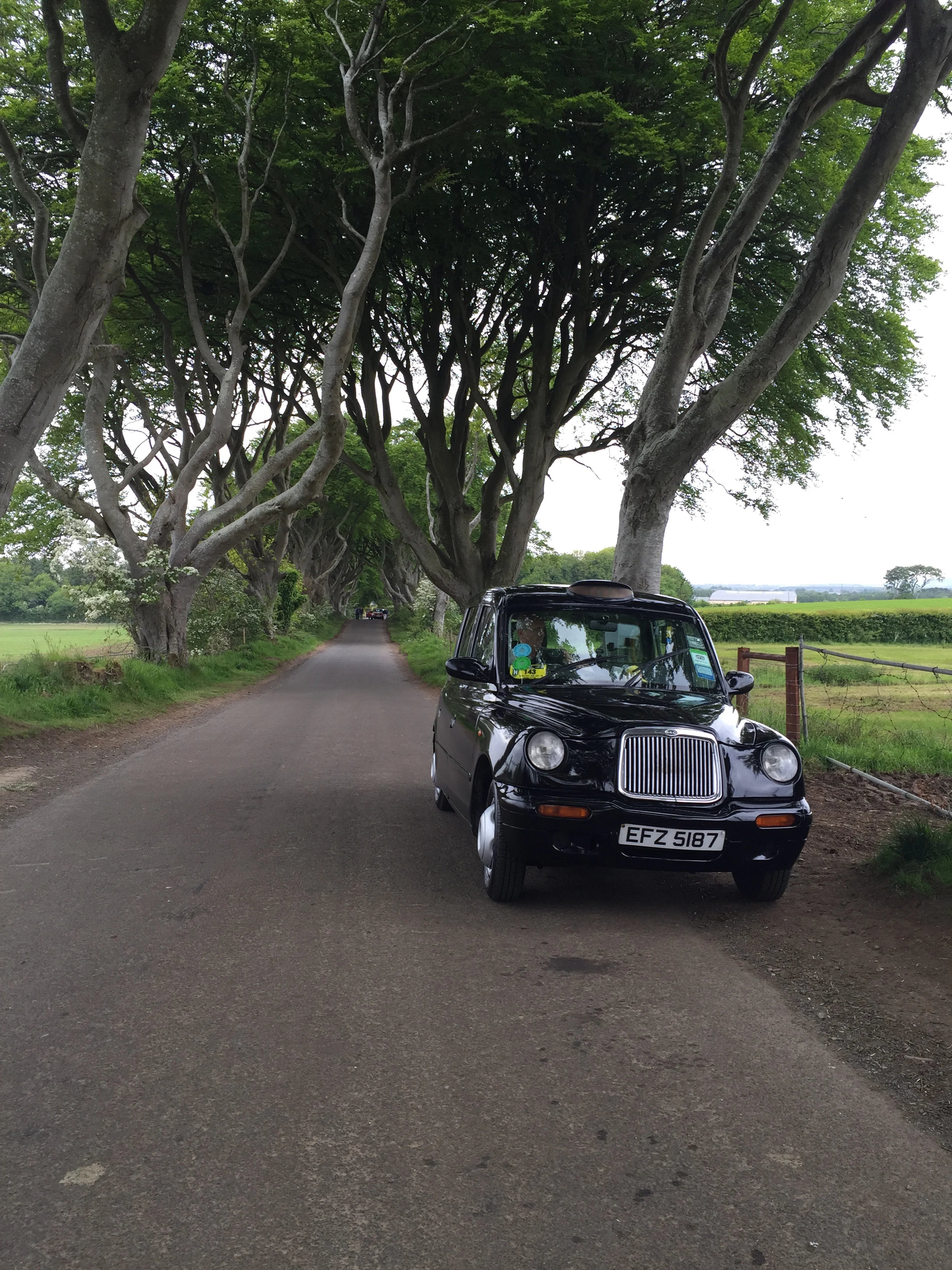 Our taxi against the Dark Hedges.