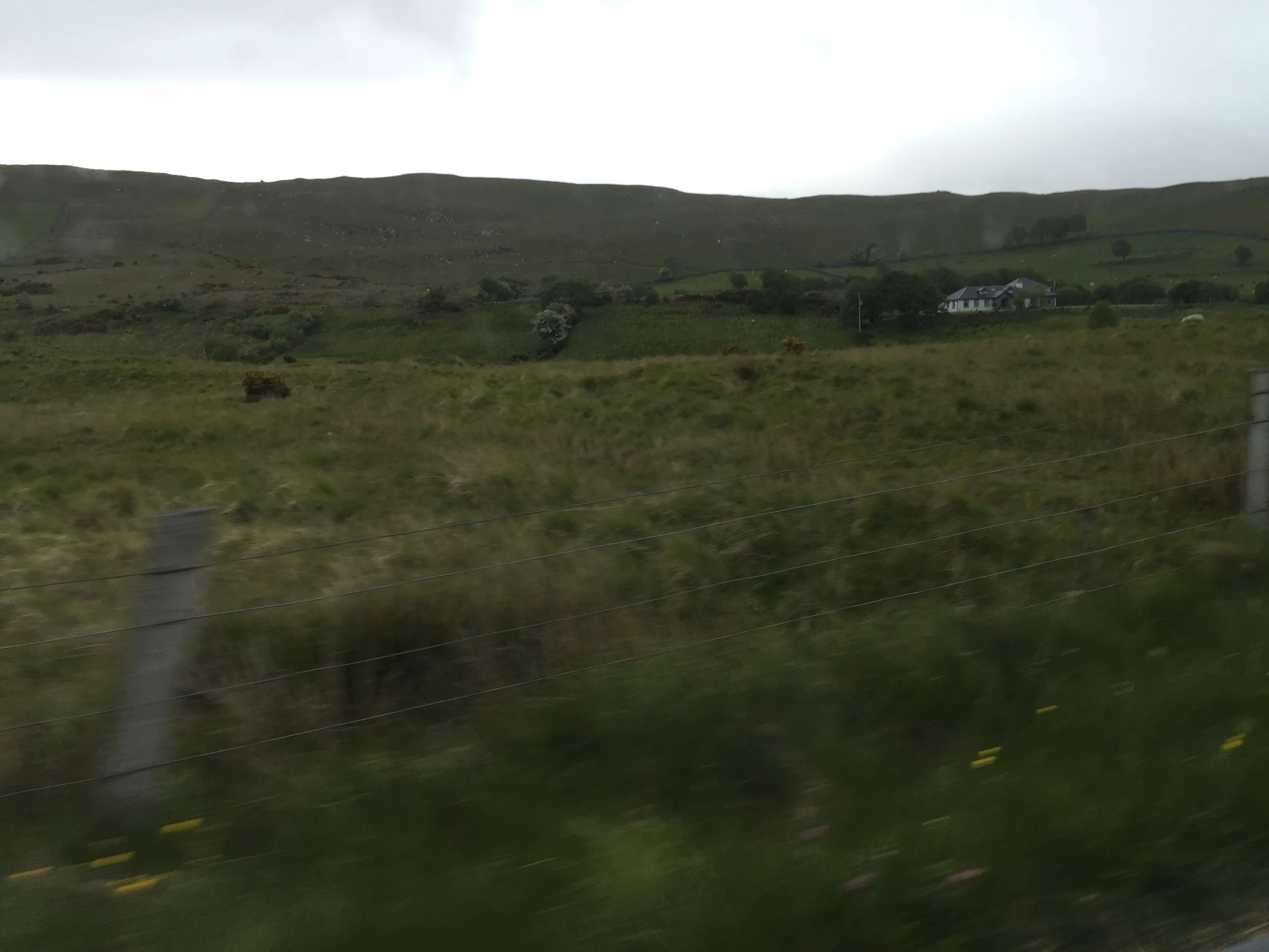 Views out the car window coming back from dinner.