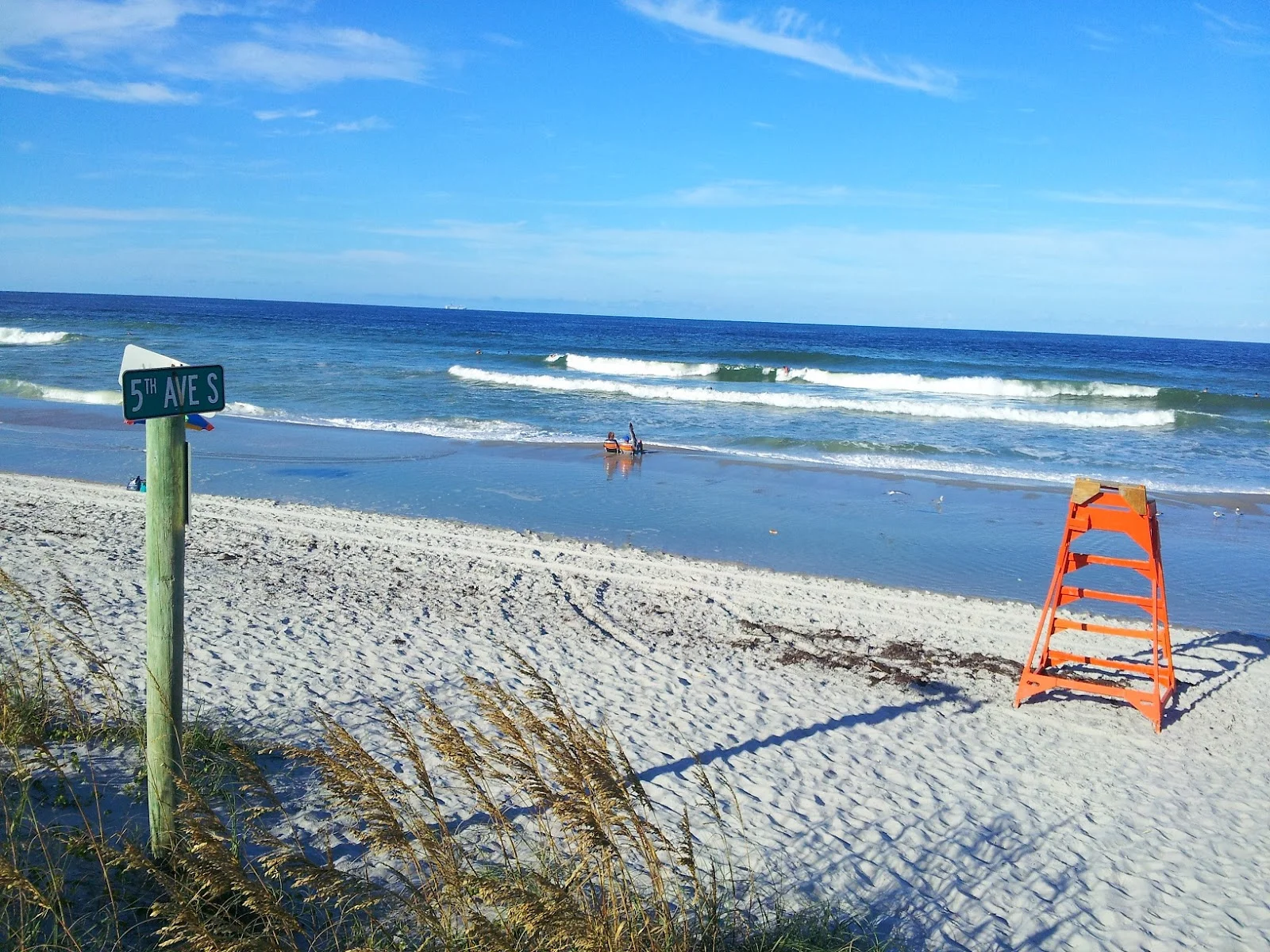 Why Florida? Why not Florida?