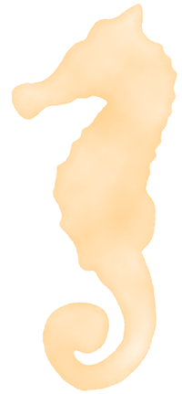 MR-Icon-Seahorse-SML.png
