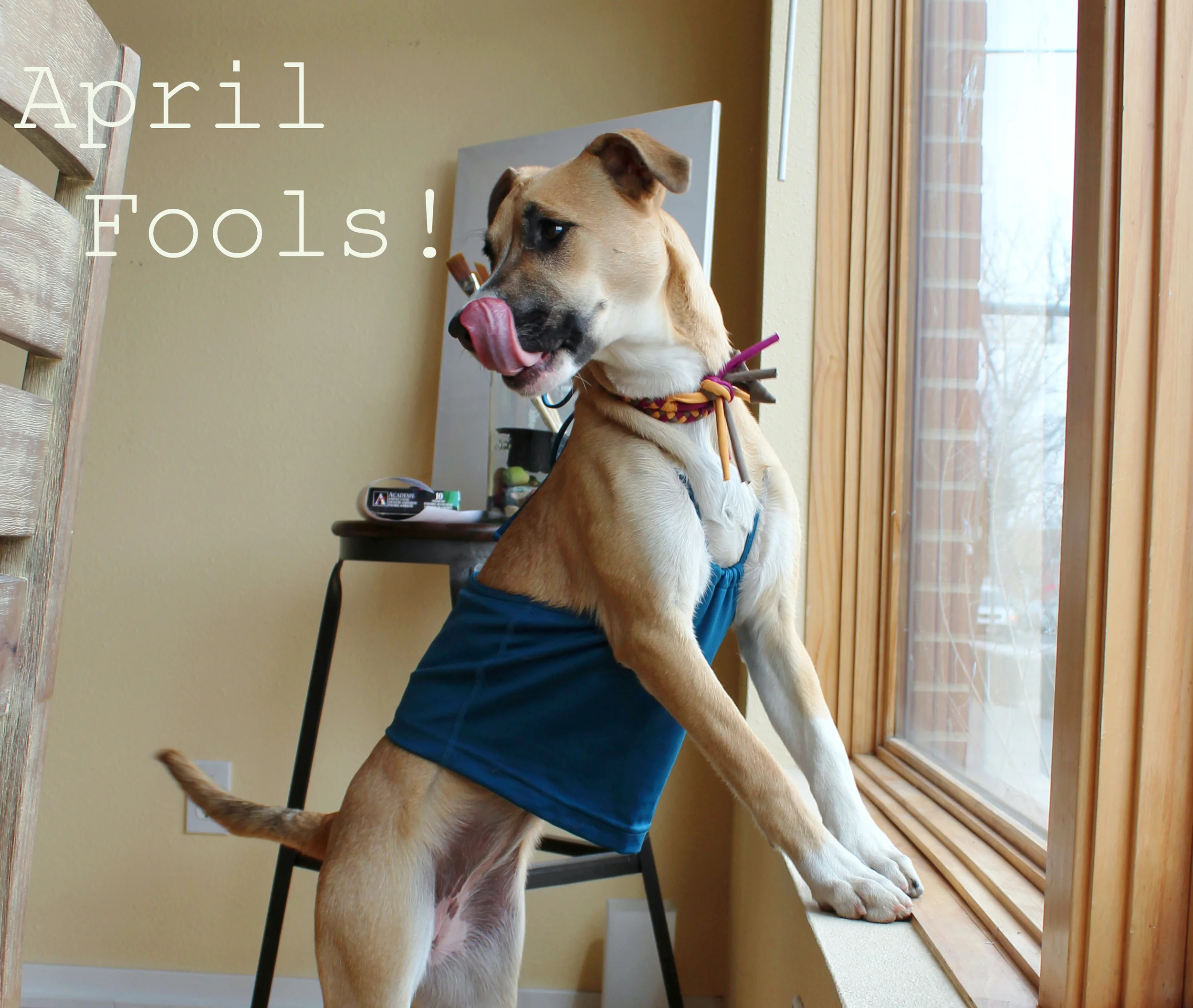 aprilfools