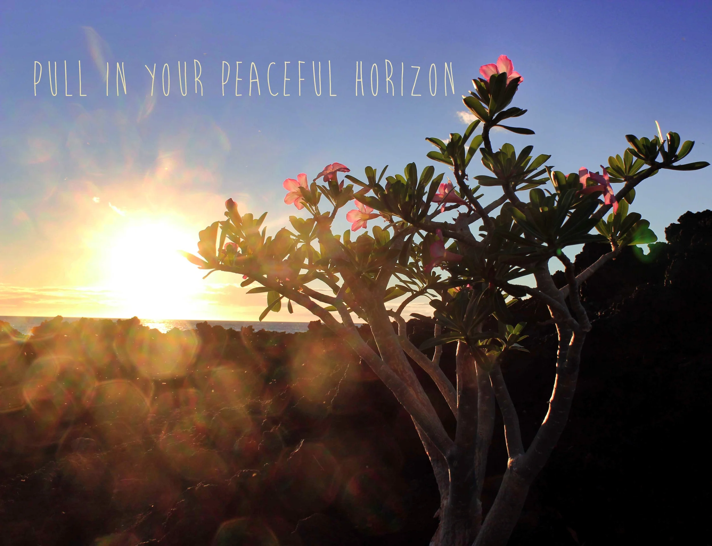 brighter horizon