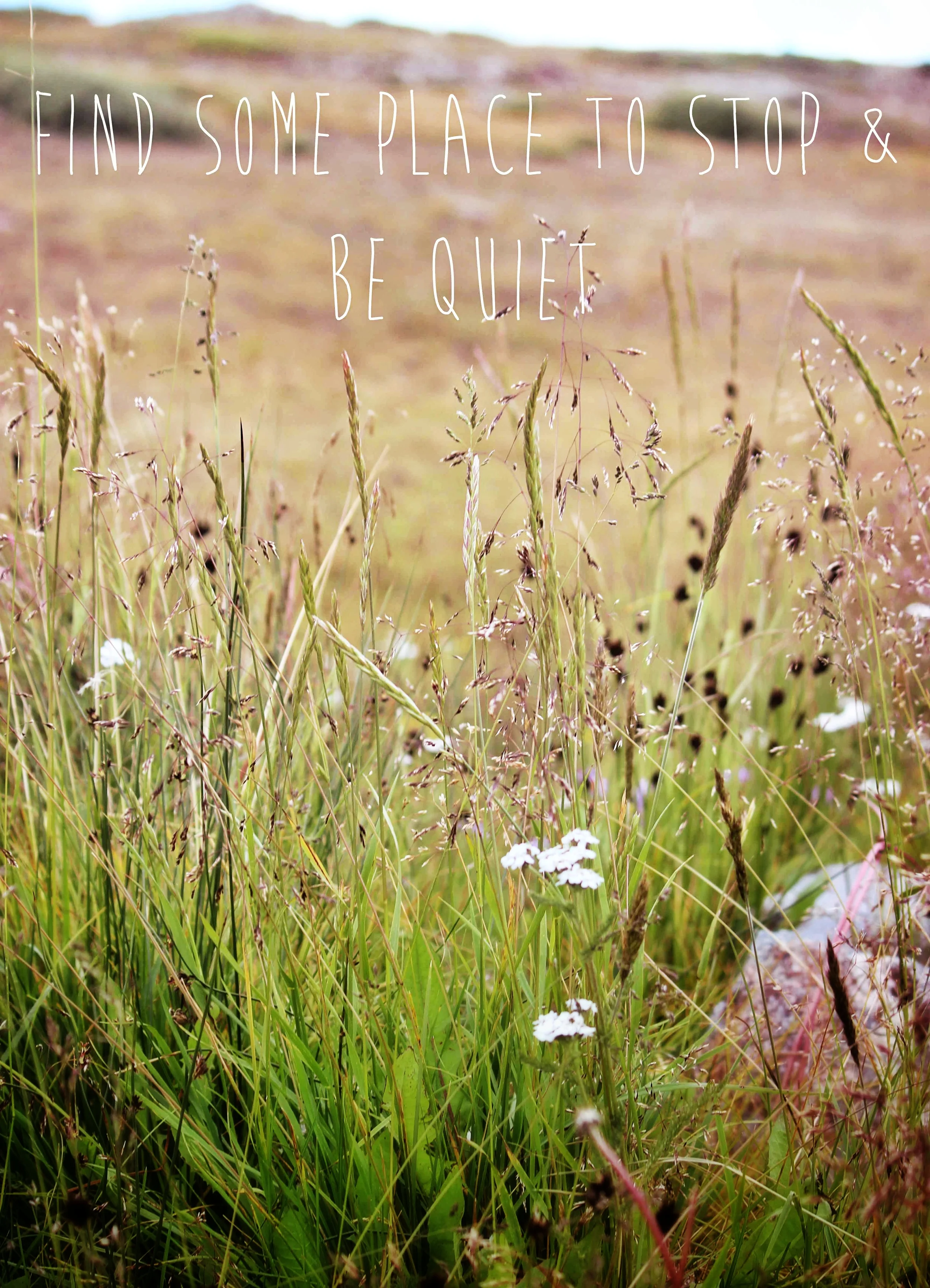 blog