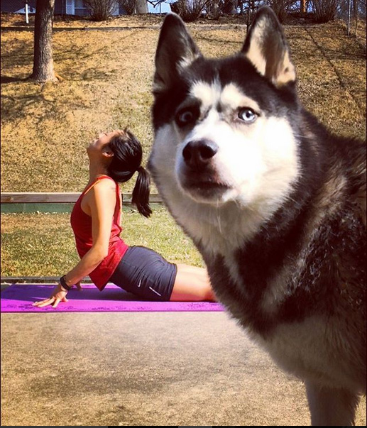 "Photobombing Pup" by Nina Wong