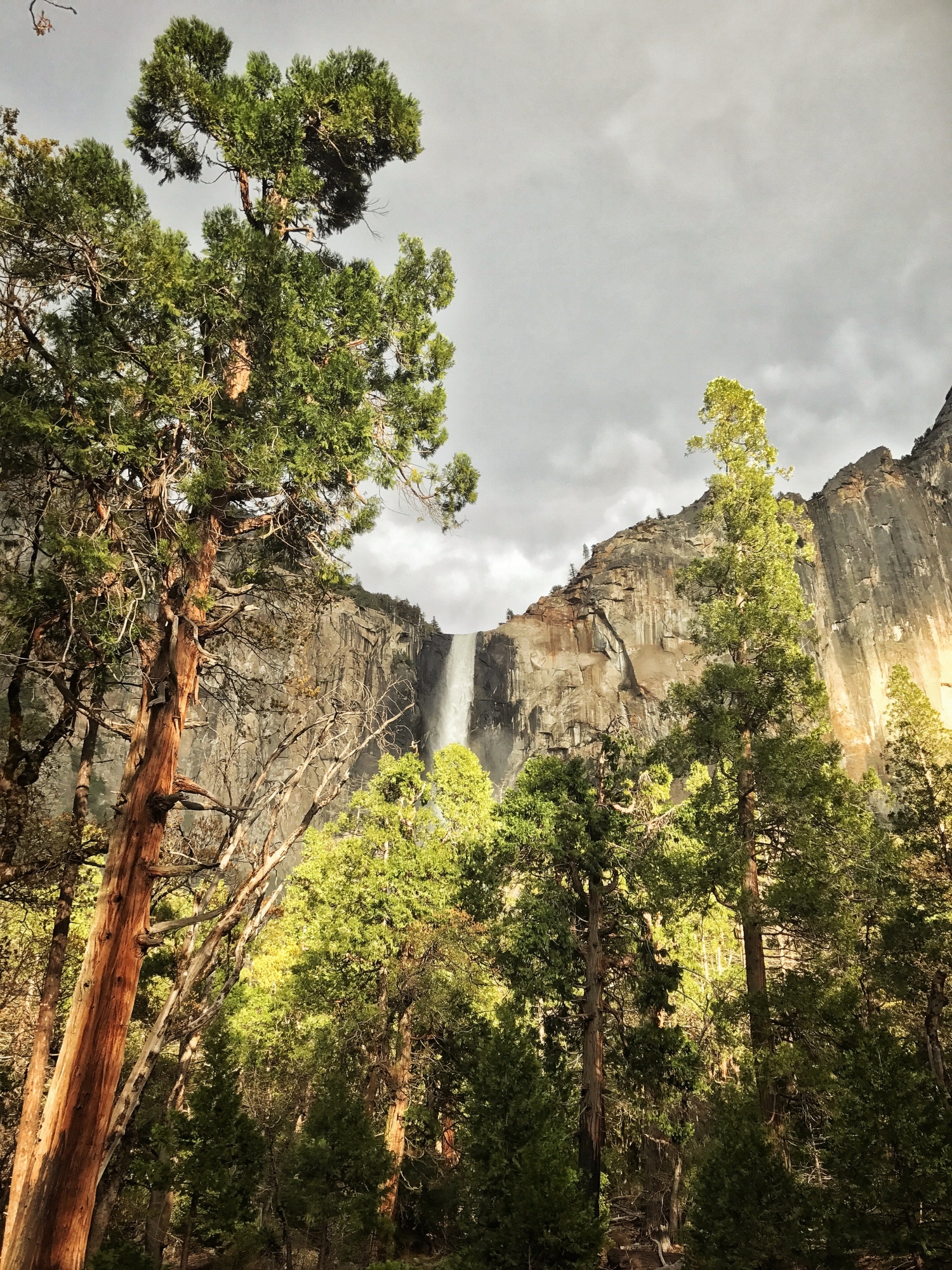 Yosemite Blog 9.jpg