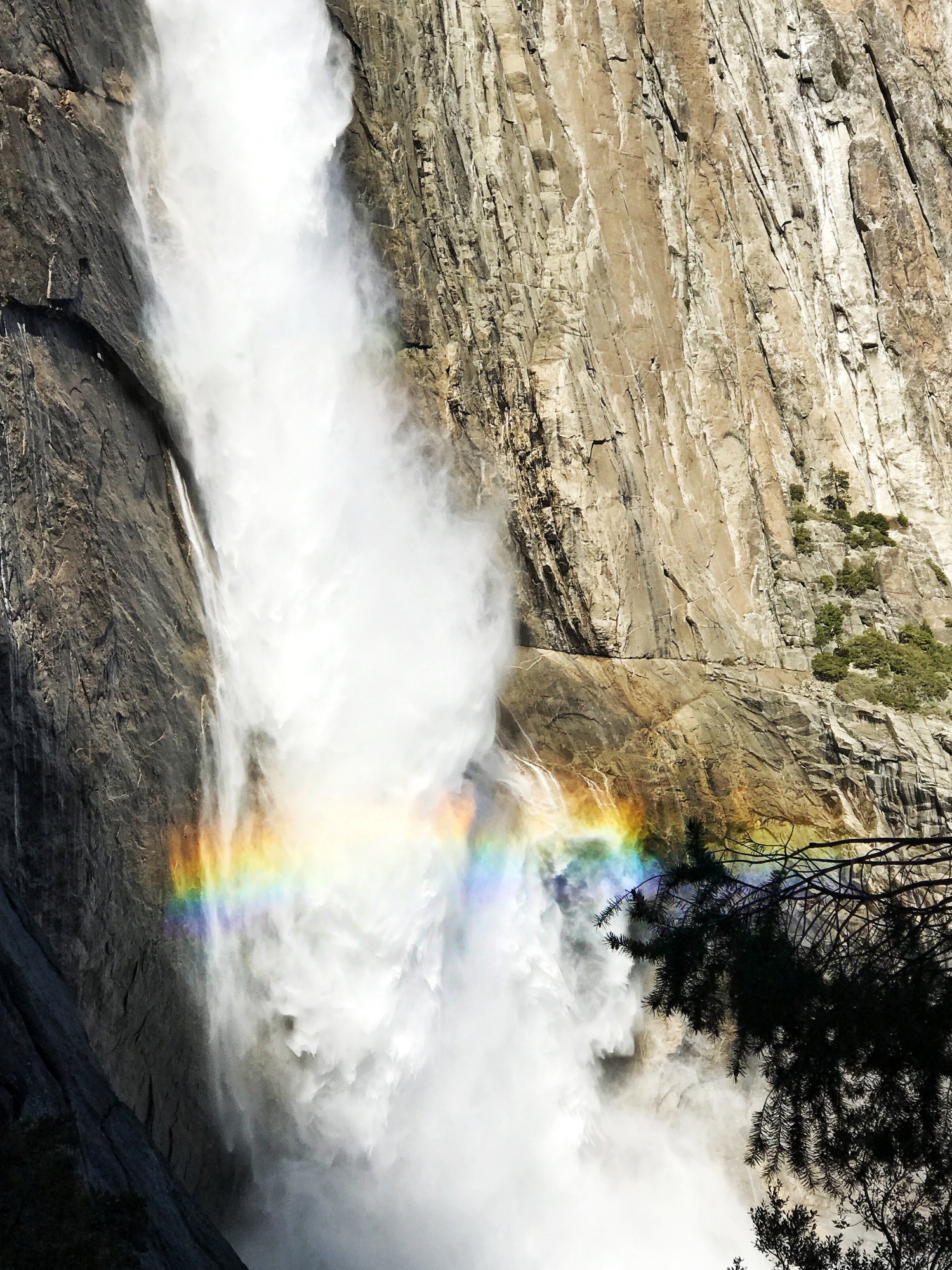 Yosemite Blog 4.jpg
