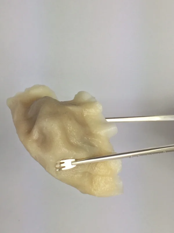 dumpling_sticks_low res.JPG