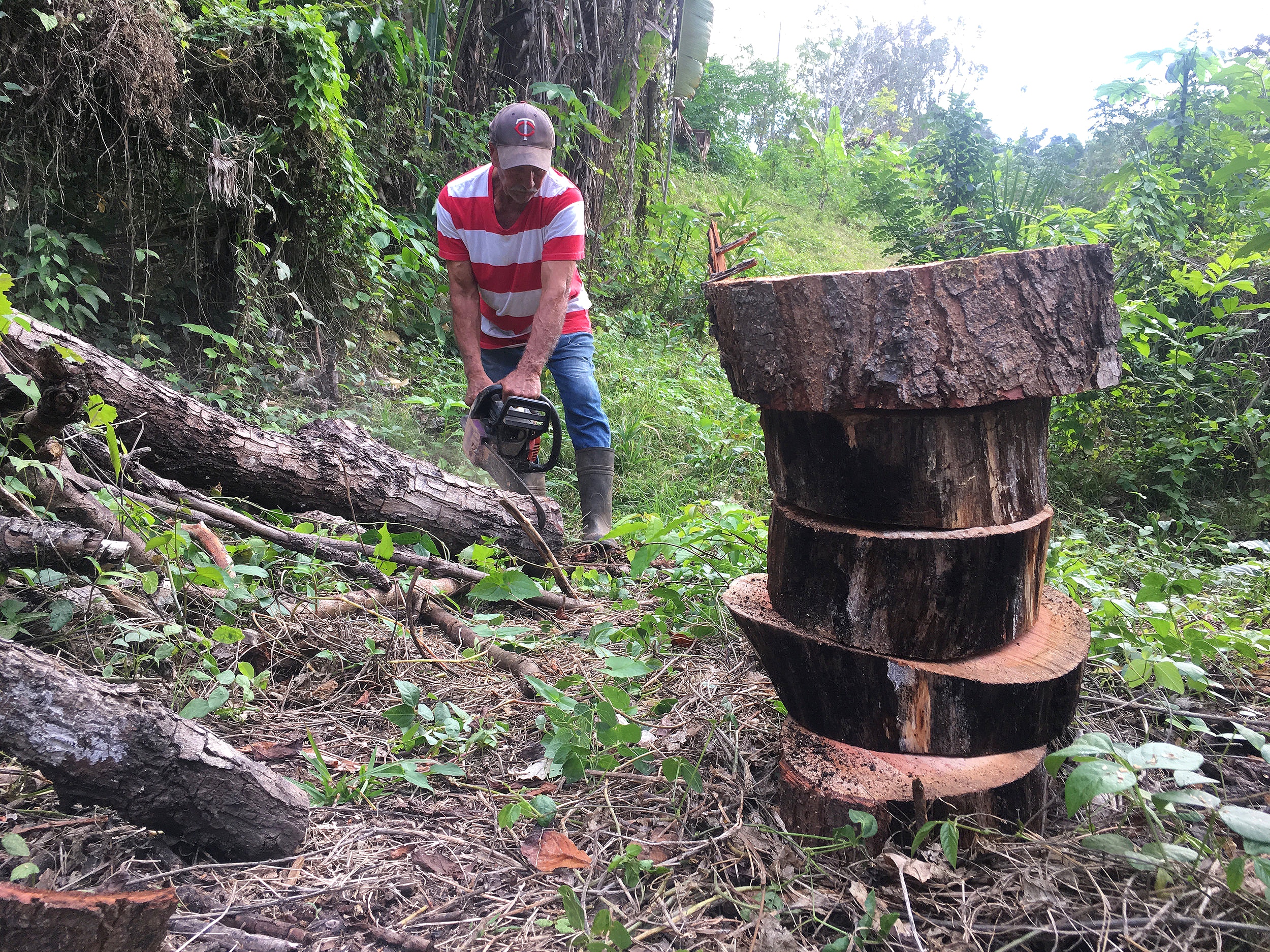 Uprooted_Life_13_1500.jpg