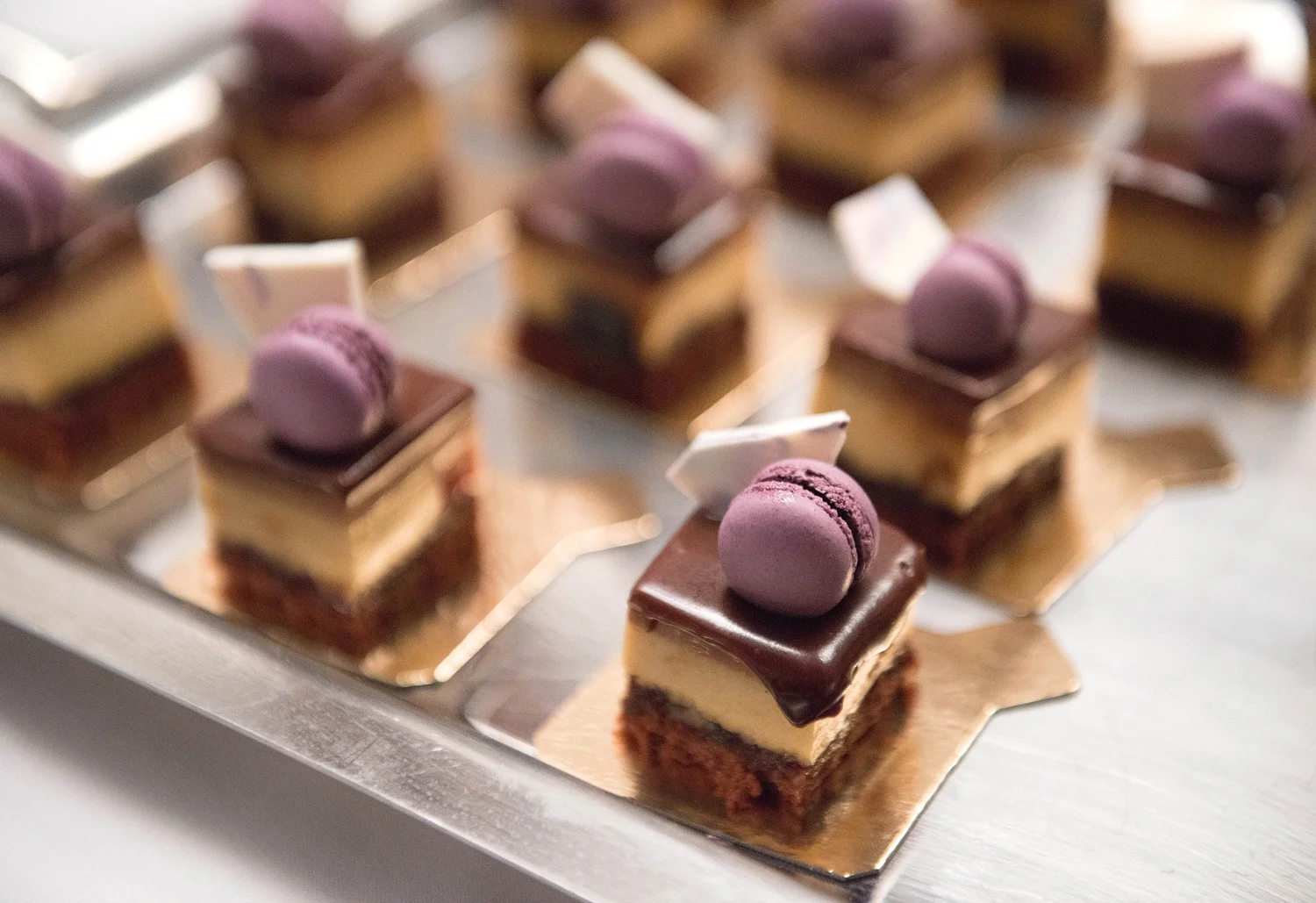 13Taste_OpeningNight_1500.jpg