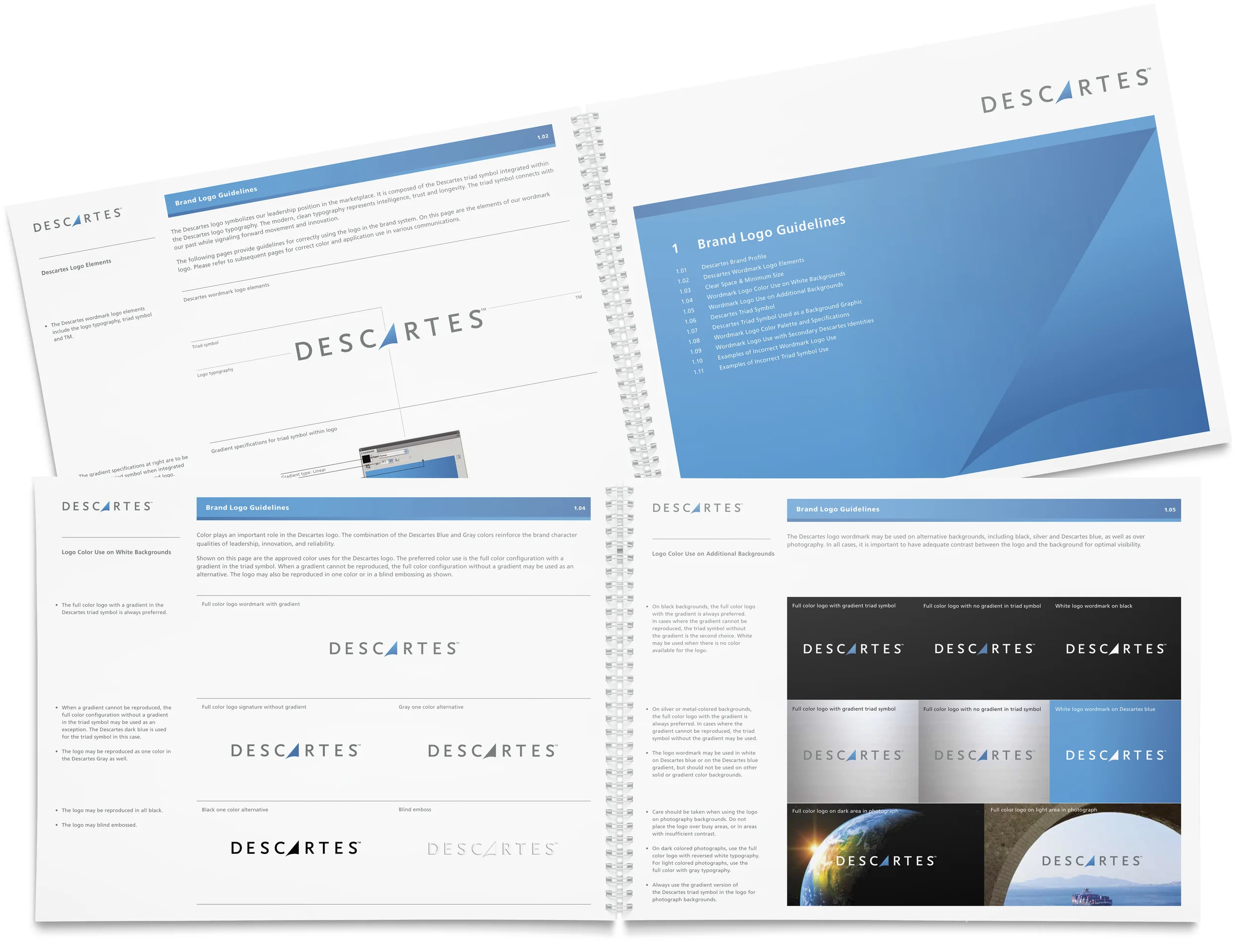 Descartes_BrandStyleGuide.jpg