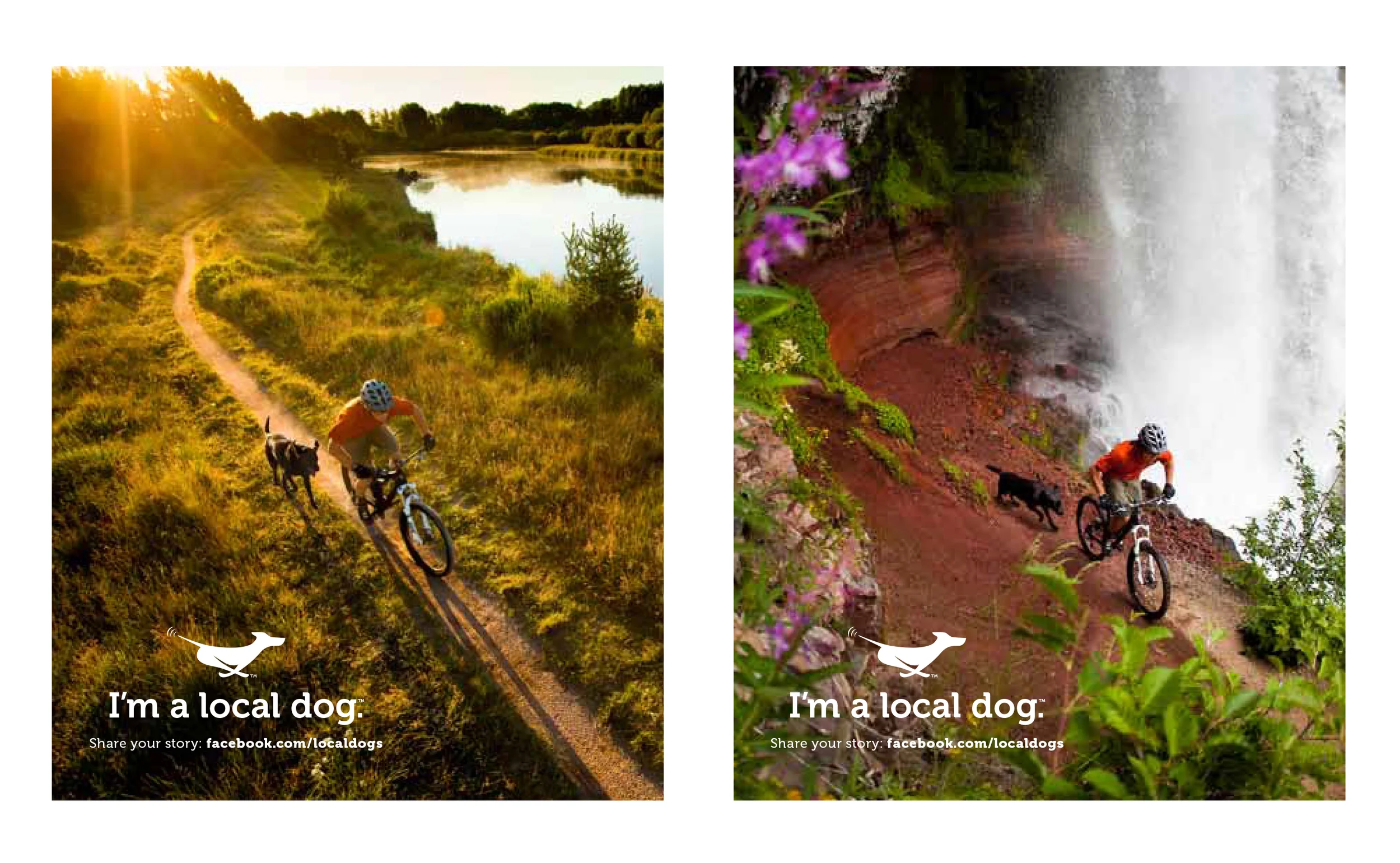 lcoal_dog_ads1.jpg