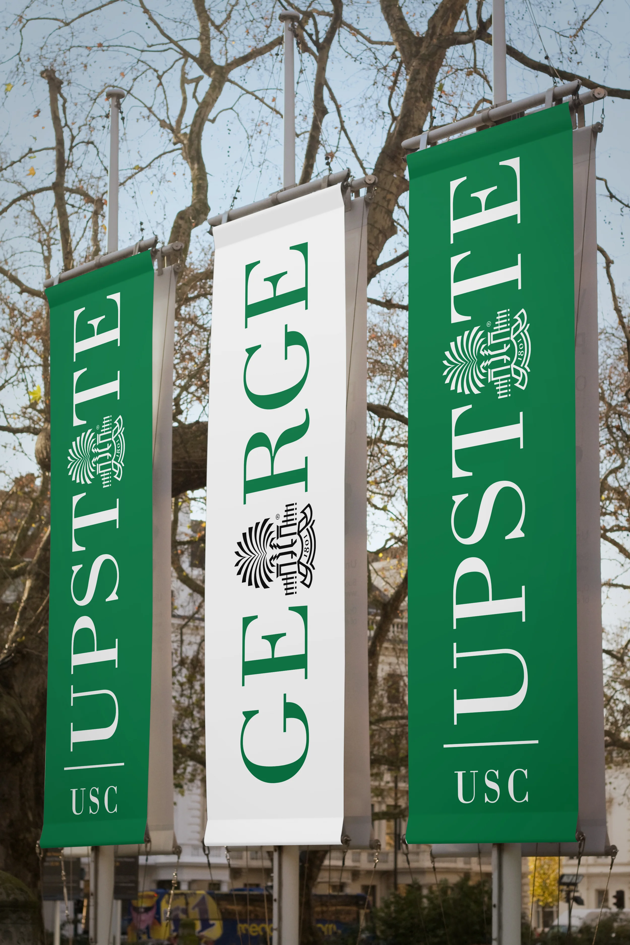 Banner 0456 2015-06-29.jpg