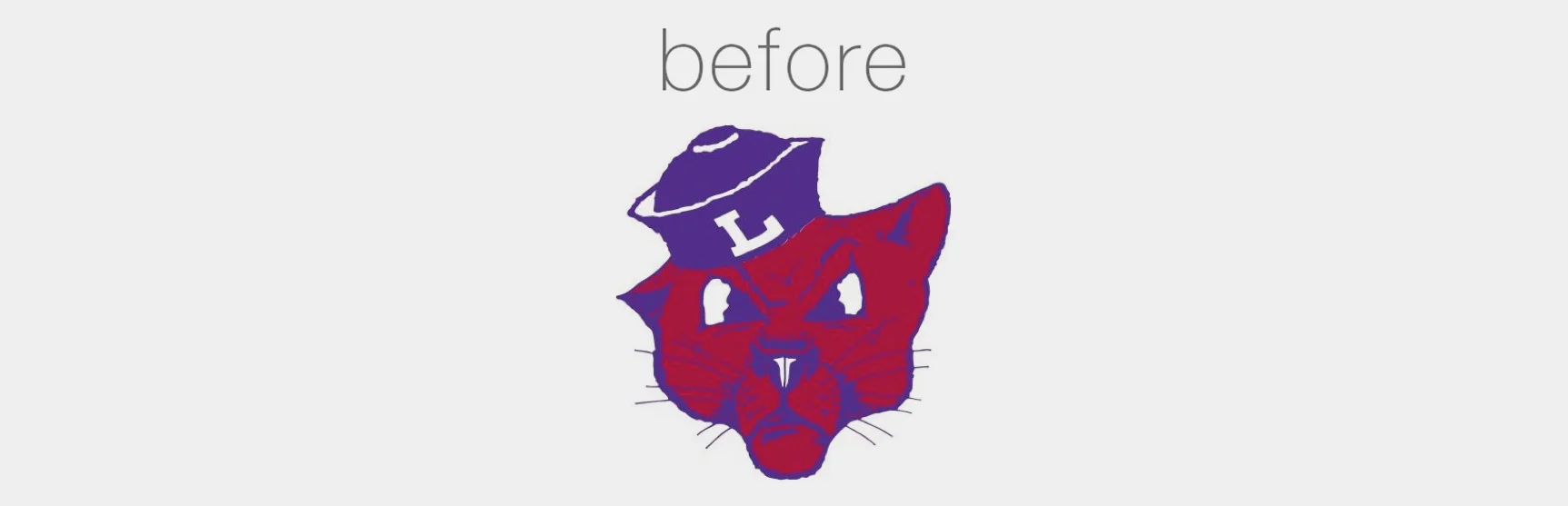 Wildcat before.jpg