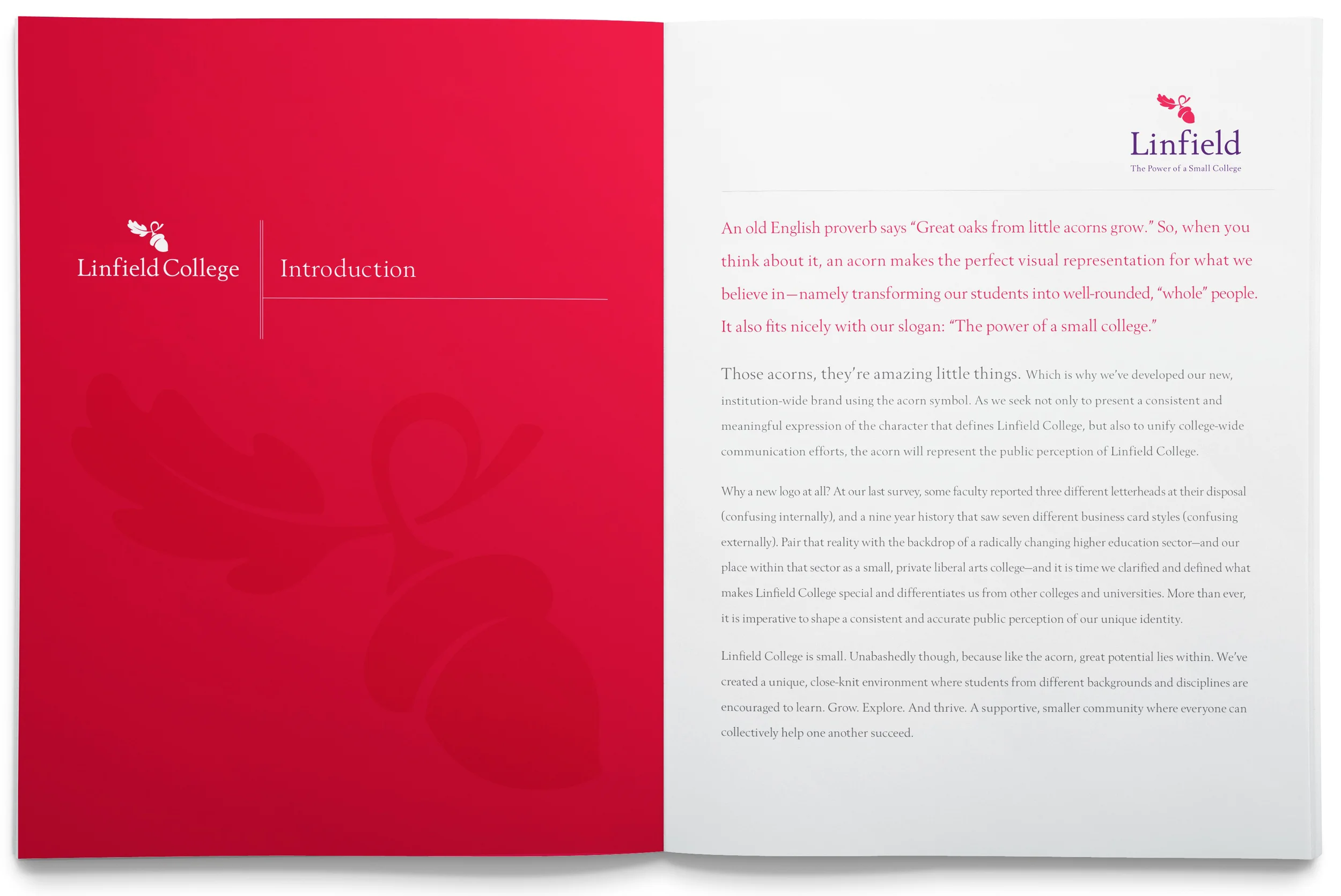 Linfield Identity Guide 1.jpg