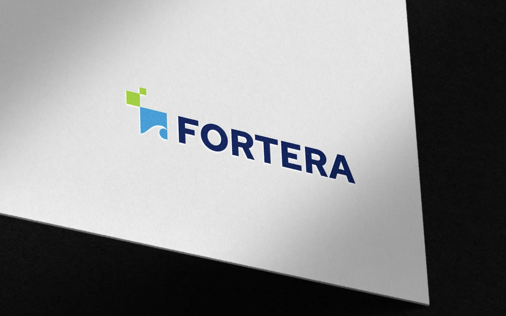 Fortera_CaseStudy_BN.002.jpeg