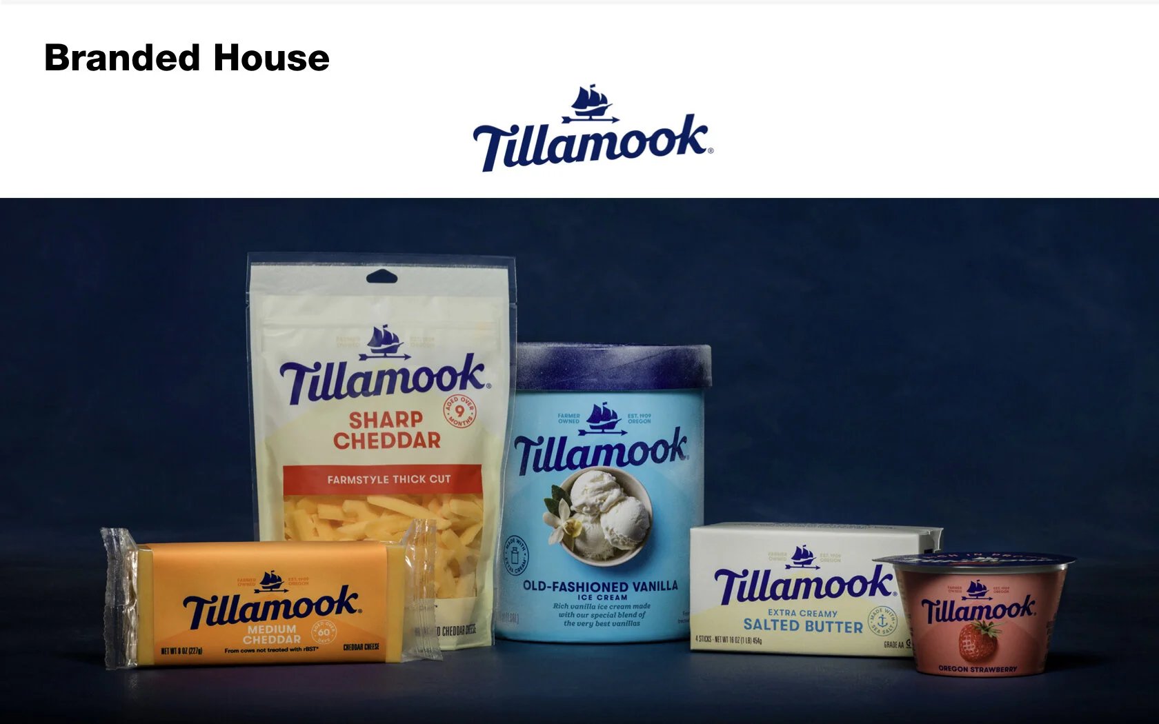 BrandArchitecture__Tillamook.001.jpeg