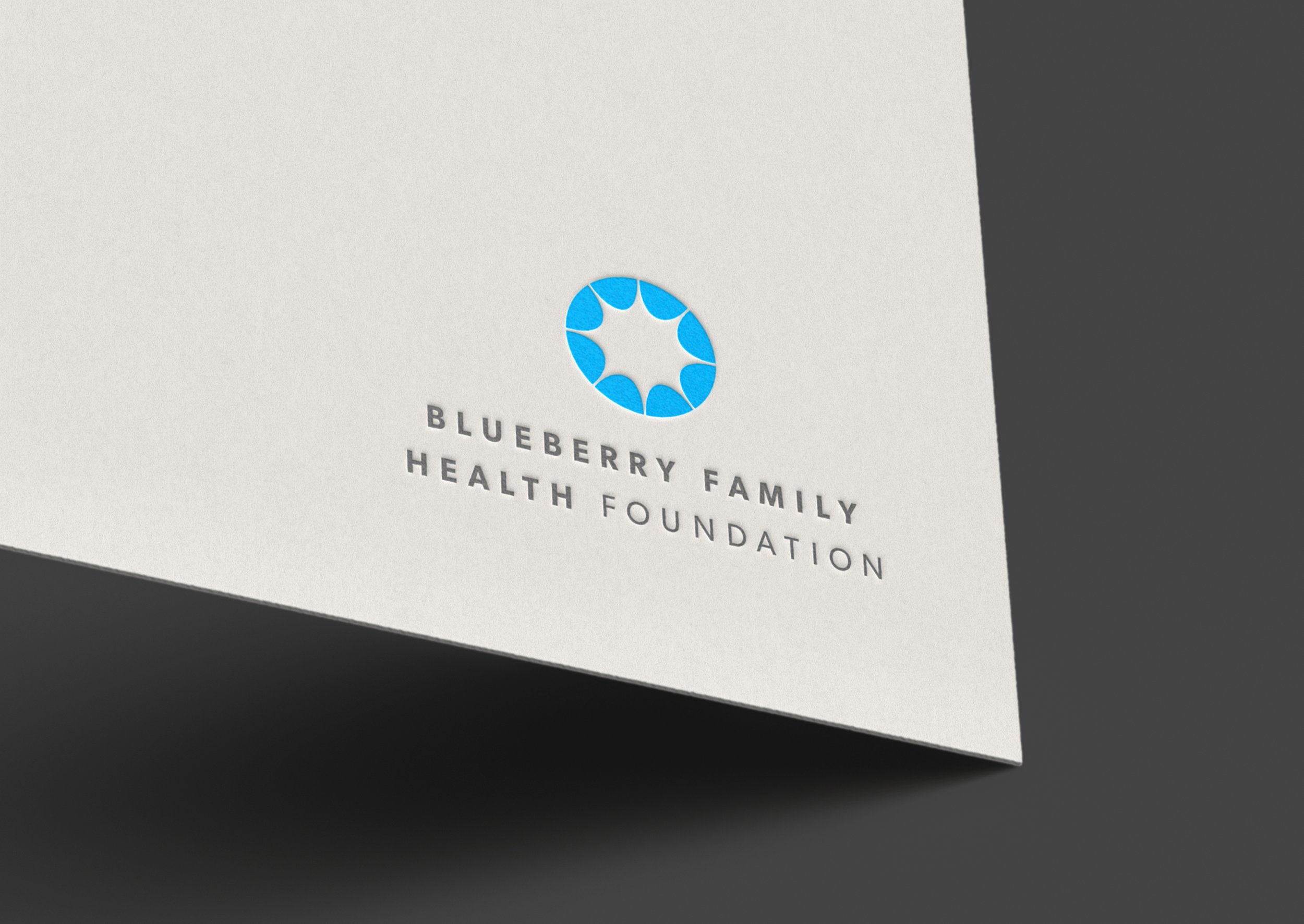 BlueberryFamilyHealthFoundation_Logo.jpg