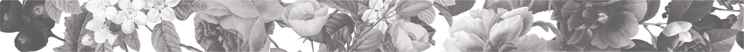 LH Floral border.jpg